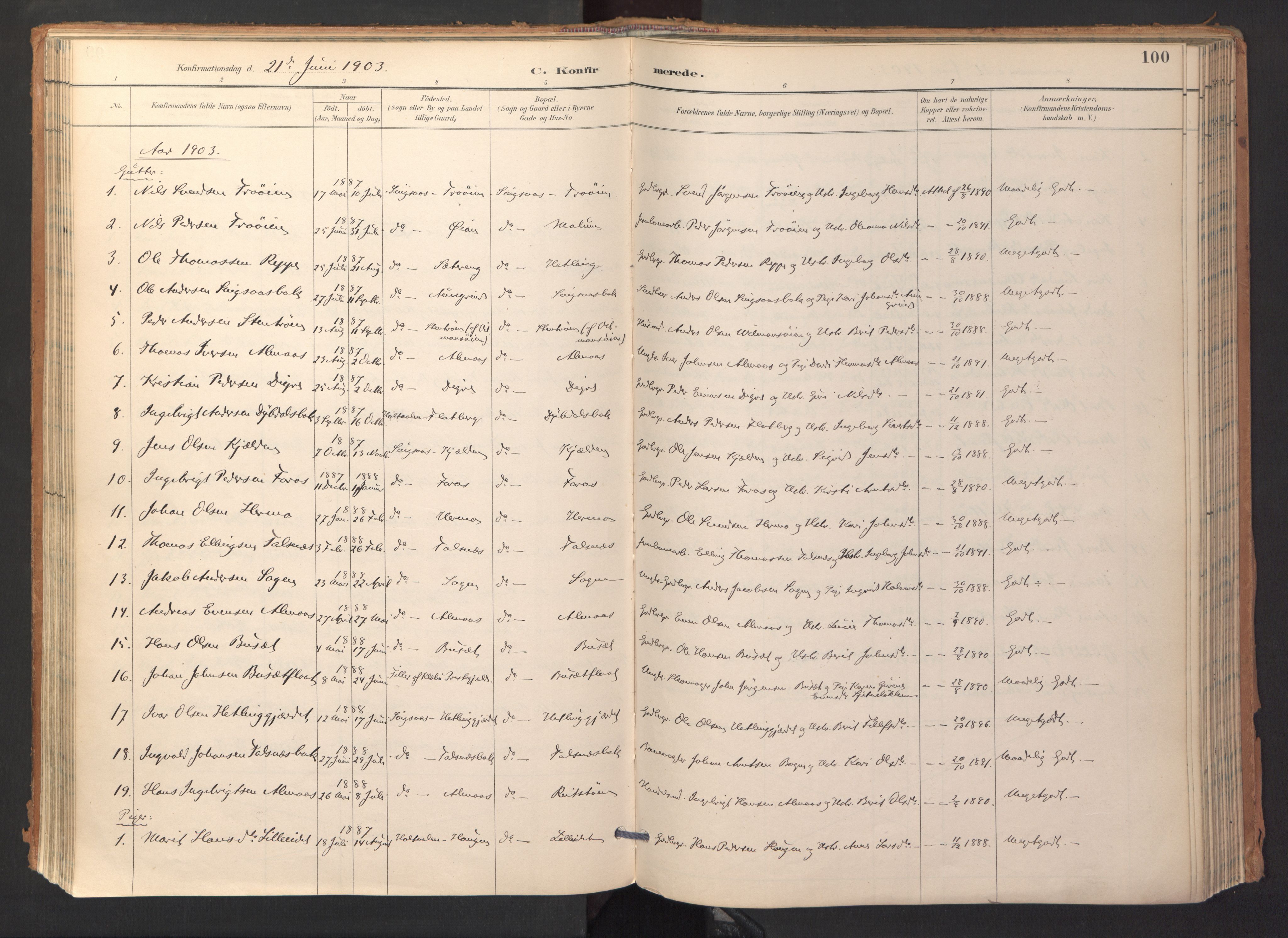 Ministerialprotokoller, klokkerbøker og fødselsregistre - Sør-Trøndelag, AV/SAT-A-1456/688/L1025: Ministerialbok nr. 688A02, 1891-1909, s. 100