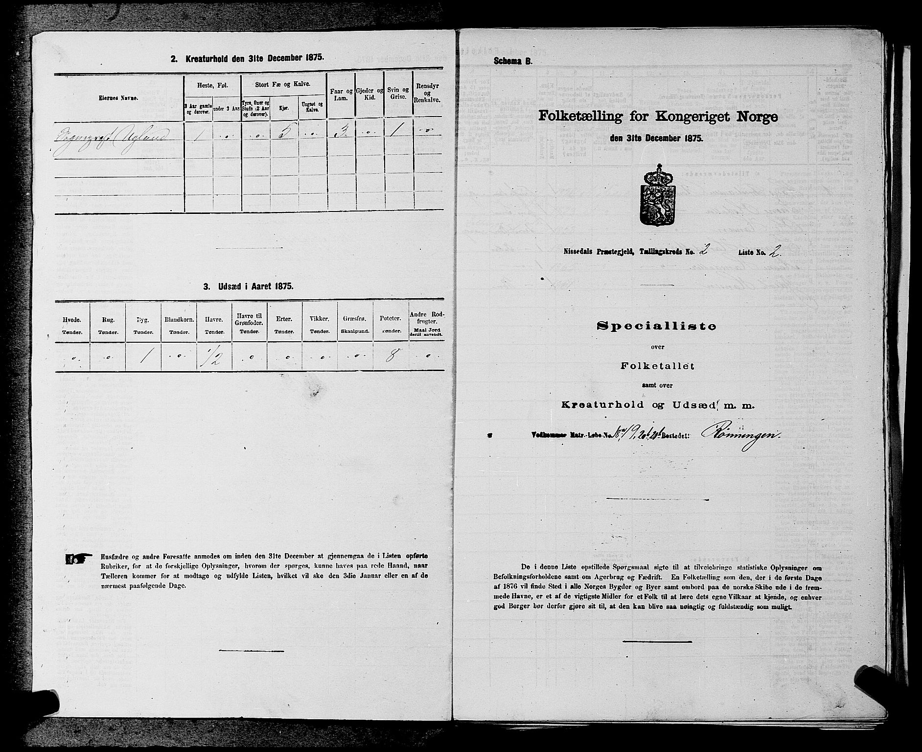 SAKO, Folketelling 1875 for 0830P Nissedal prestegjeld, 1875, s. 113