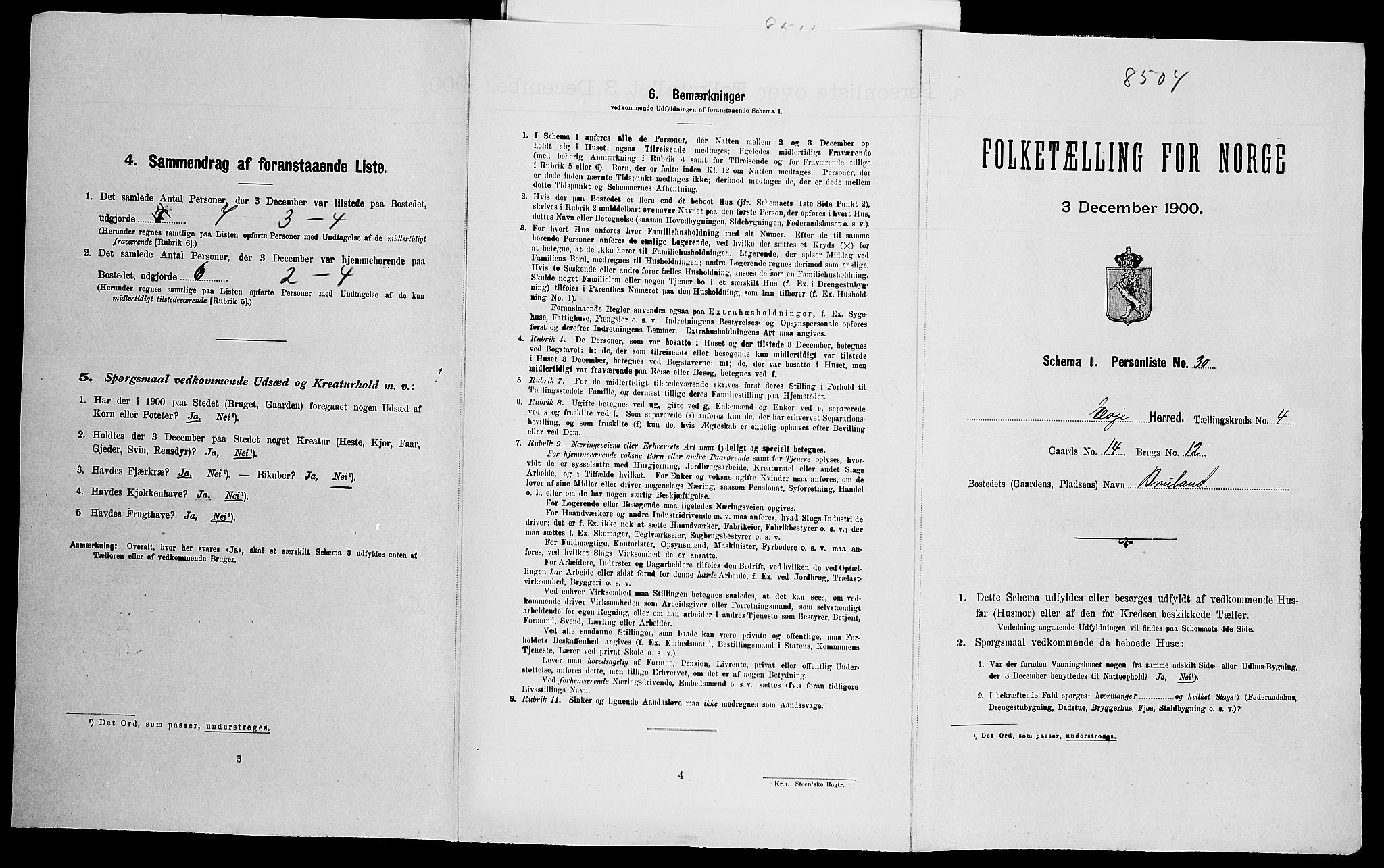 SAK, Folketelling 1900 for 0937 Evje herred, 1900, s. 290