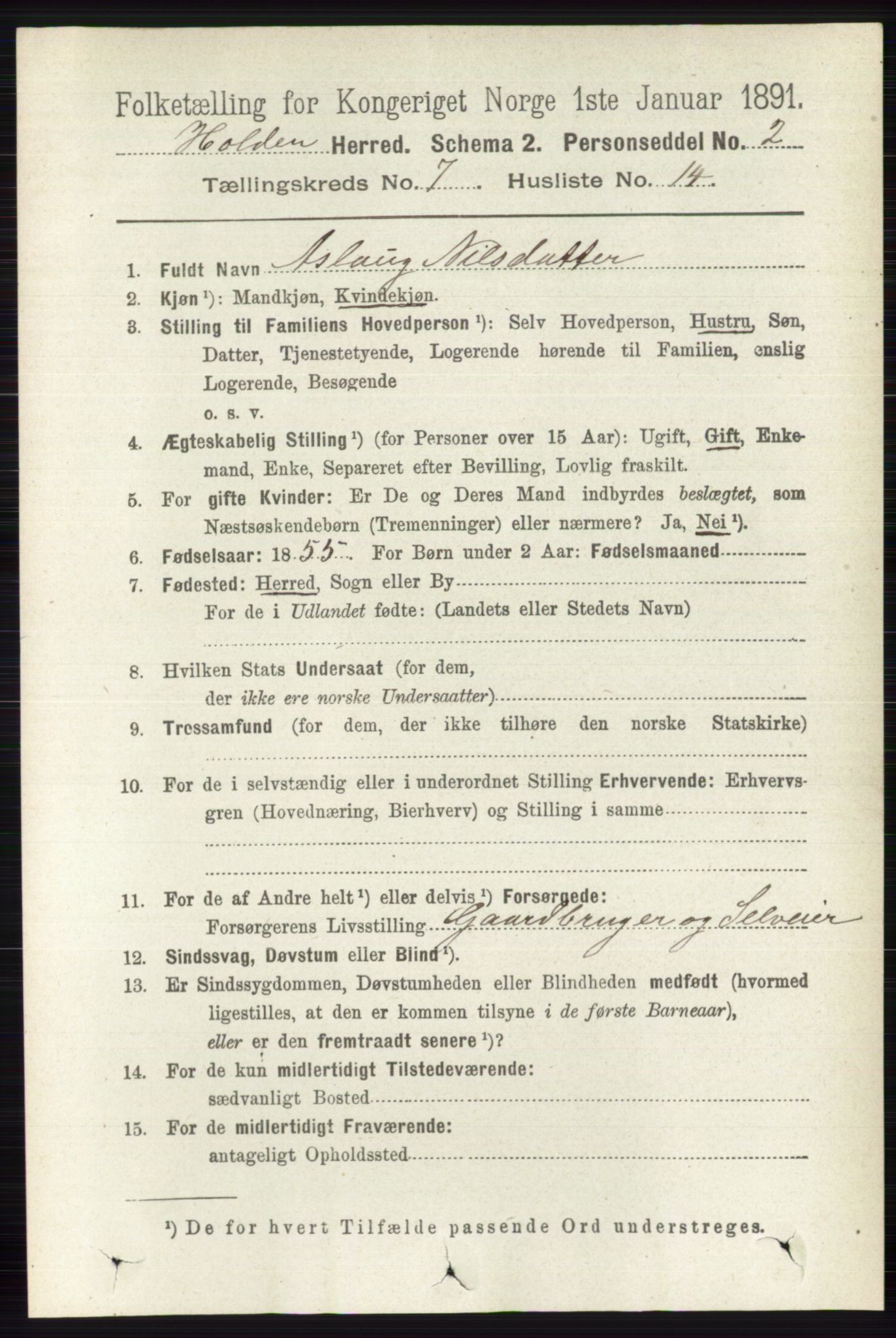 RA, Folketelling 1891 for 0819 Holla herred, 1891, s. 3357