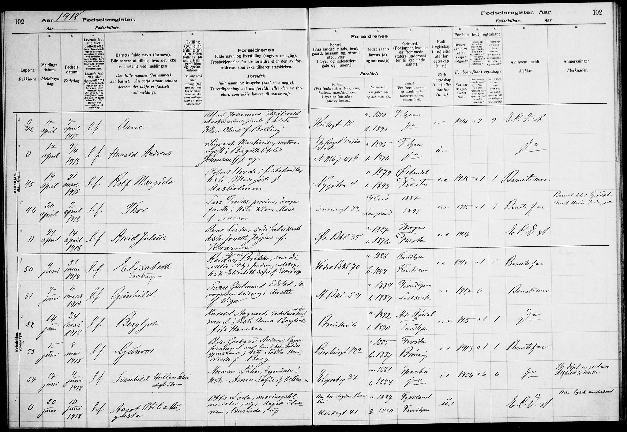 Ministerialprotokoller, klokkerbøker og fødselsregistre - Sør-Trøndelag, SAT/A-1456/604/L0232: Fødselsregister nr. 604.II.4.1, 1916-1920, s. 102