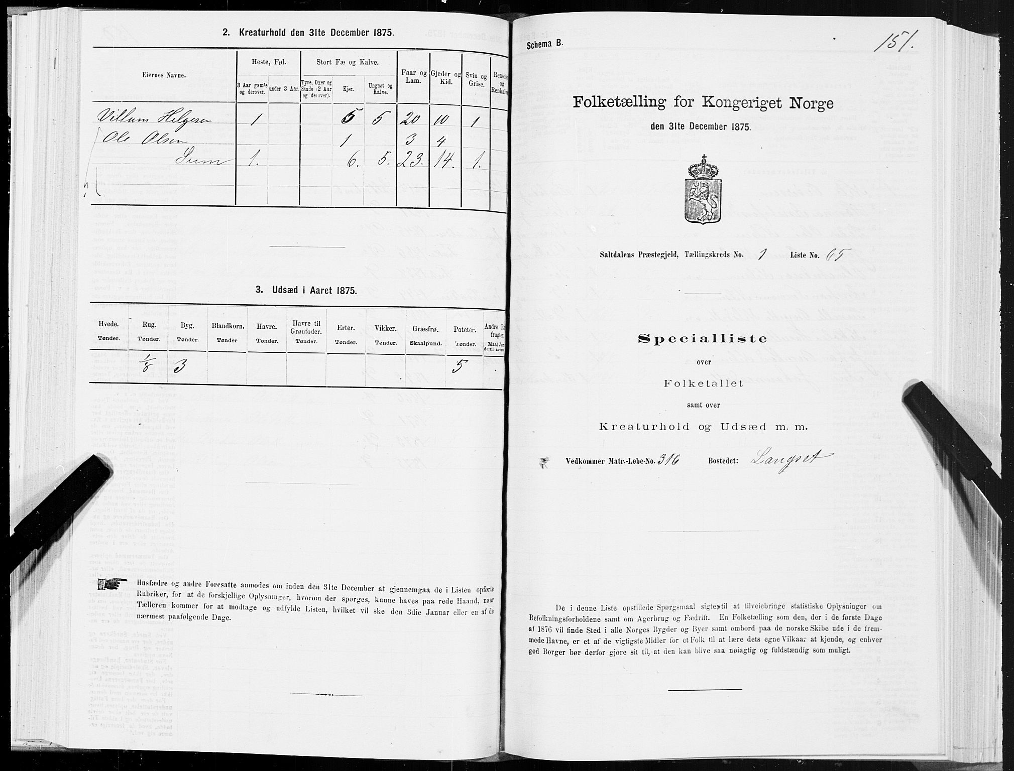 SAT, Folketelling 1875 for 1840P Saltdal prestegjeld, 1875, s. 1151