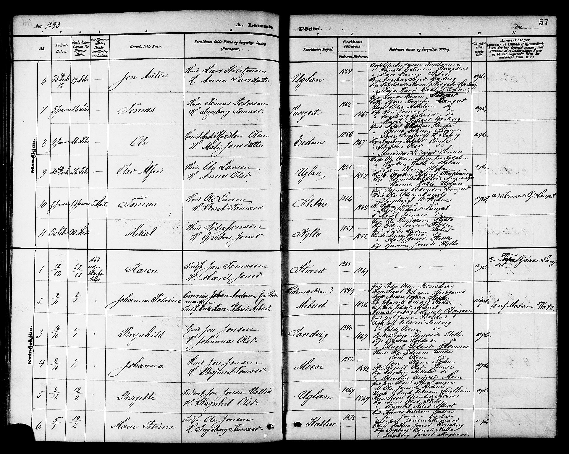 Ministerialprotokoller, klokkerbøker og fødselsregistre - Sør-Trøndelag, AV/SAT-A-1456/695/L1157: Klokkerbok nr. 695C08, 1889-1913, s. 57