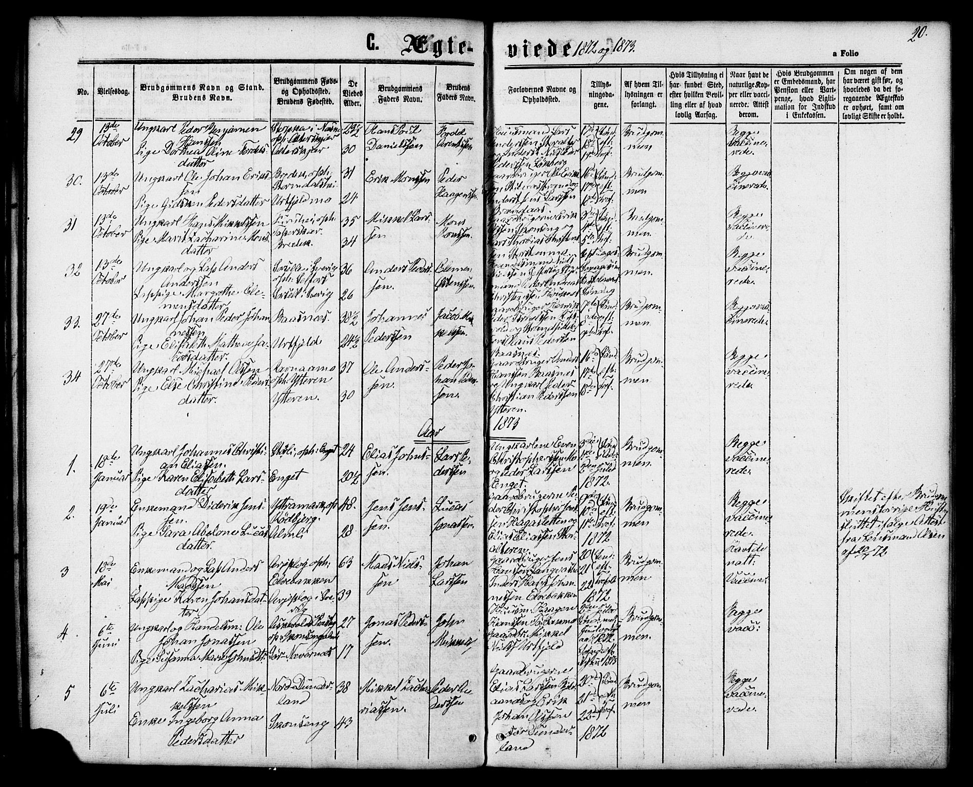 Ministerialprotokoller, klokkerbøker og fødselsregistre - Nordland, AV/SAT-A-1459/827/L0395: Ministerialbok nr. 827A07, 1864-1886, s. 20