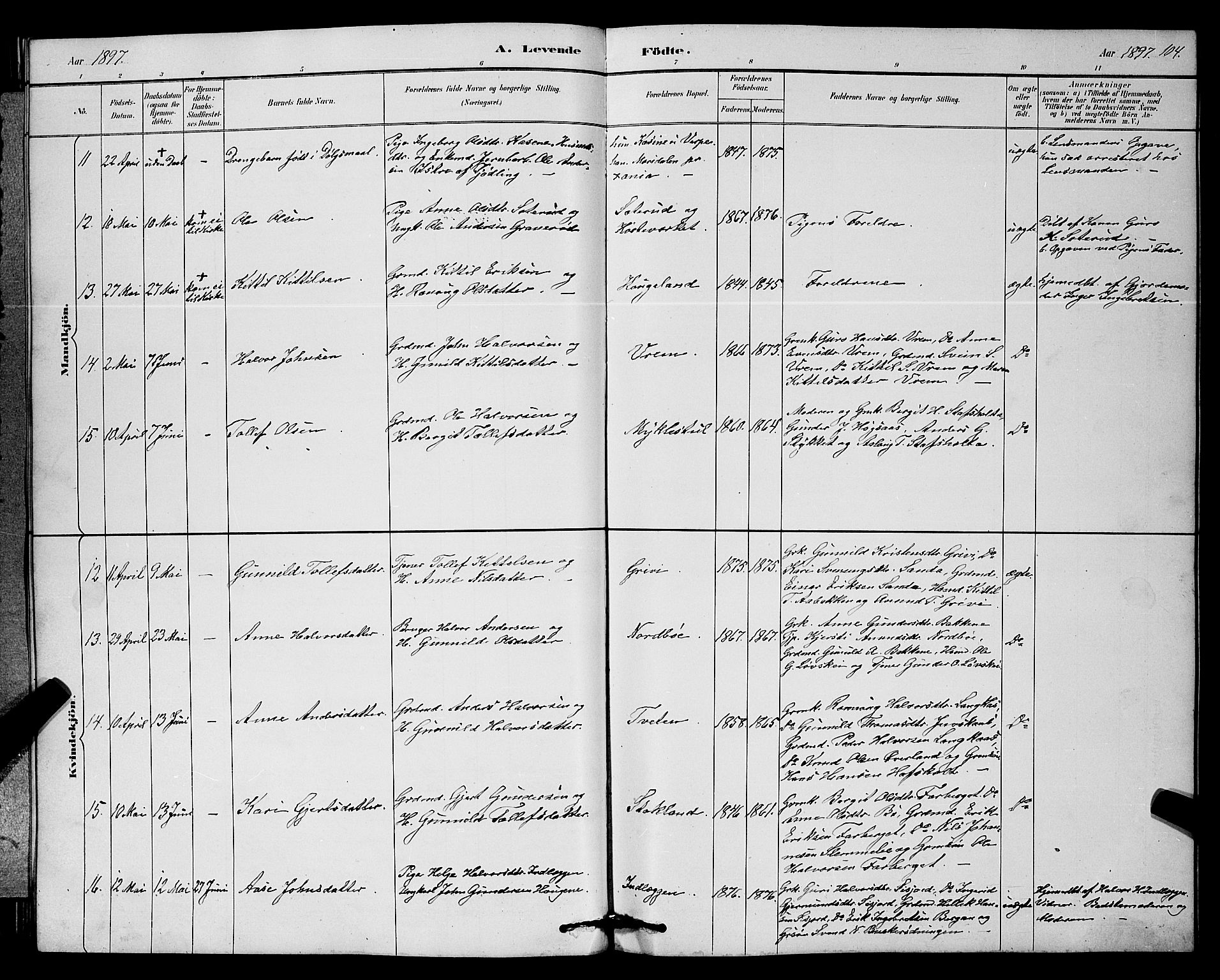 Bø kirkebøker, AV/SAKO-A-257/G/Ga/L0005: Klokkerbok nr. 5, 1883-1897, s. 104