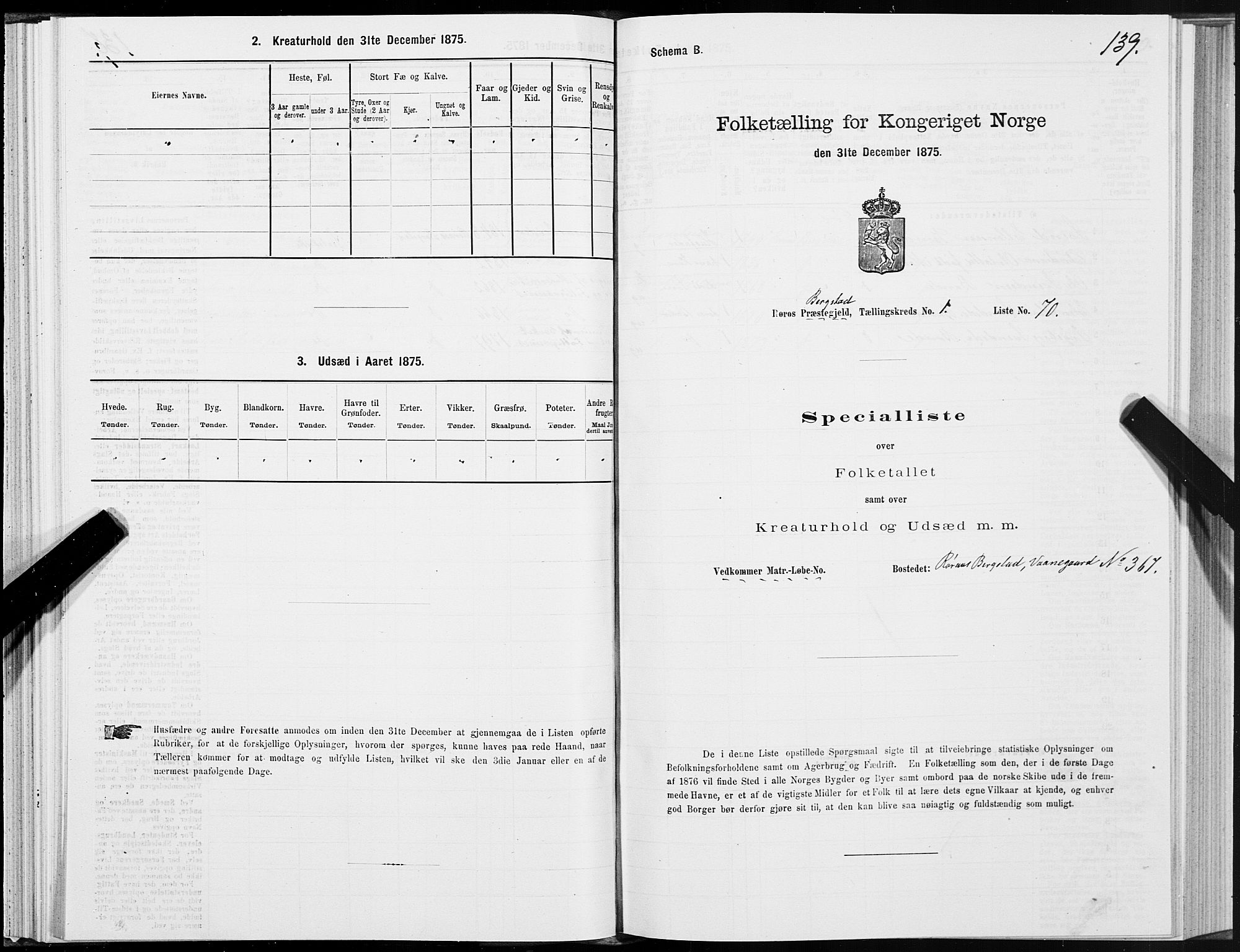 SAT, Folketelling 1875 for 1640P Røros prestegjeld, 1875, s. 1139