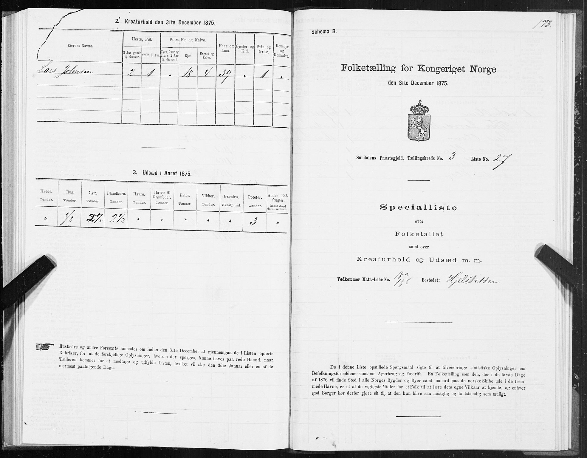 SAT, Folketelling 1875 for 1563P Sunndal prestegjeld, 1875, s. 1173