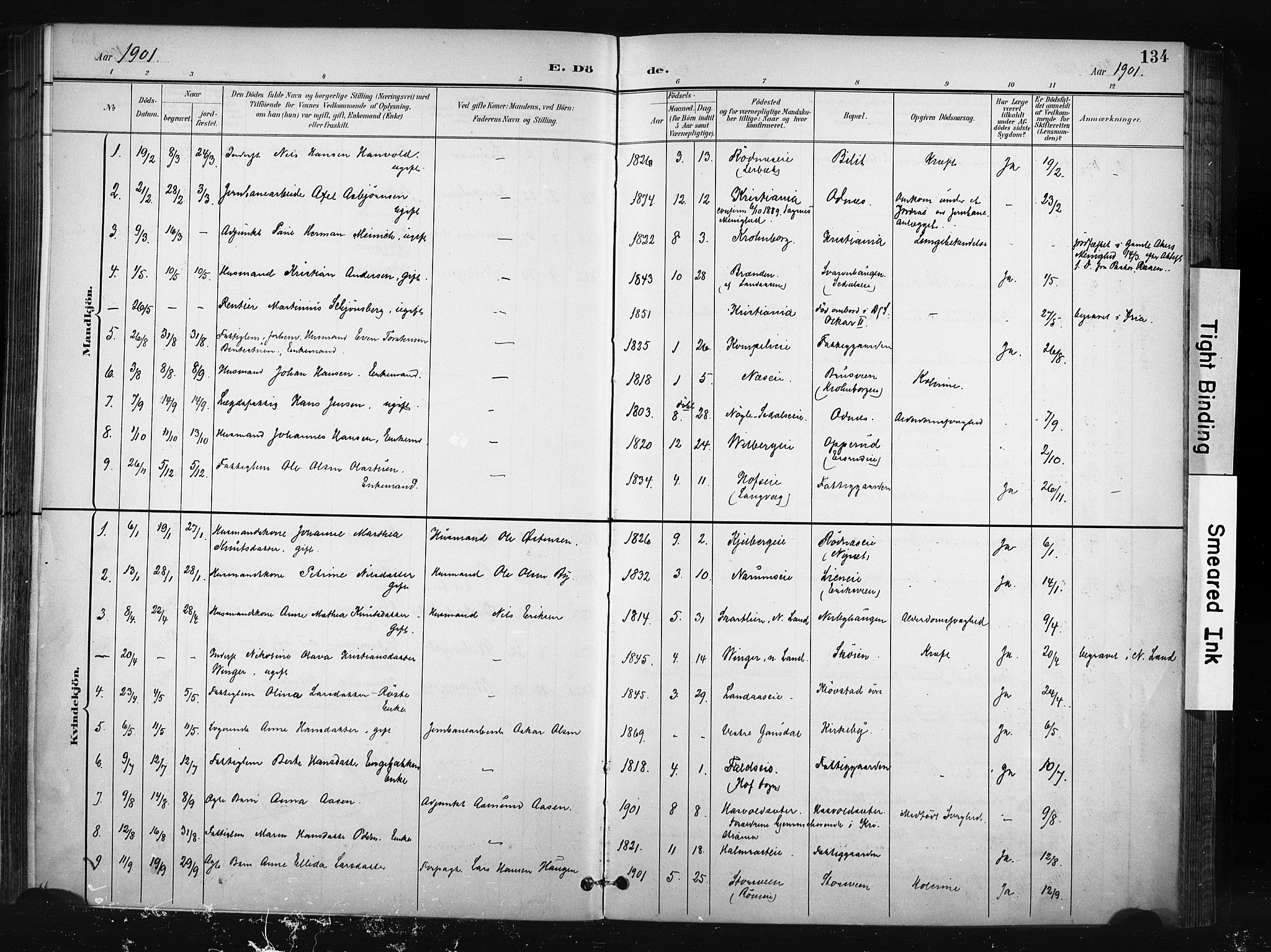 Søndre Land prestekontor, AV/SAH-PREST-122/K/L0004: Ministerialbok nr. 4, 1895-1904, s. 134