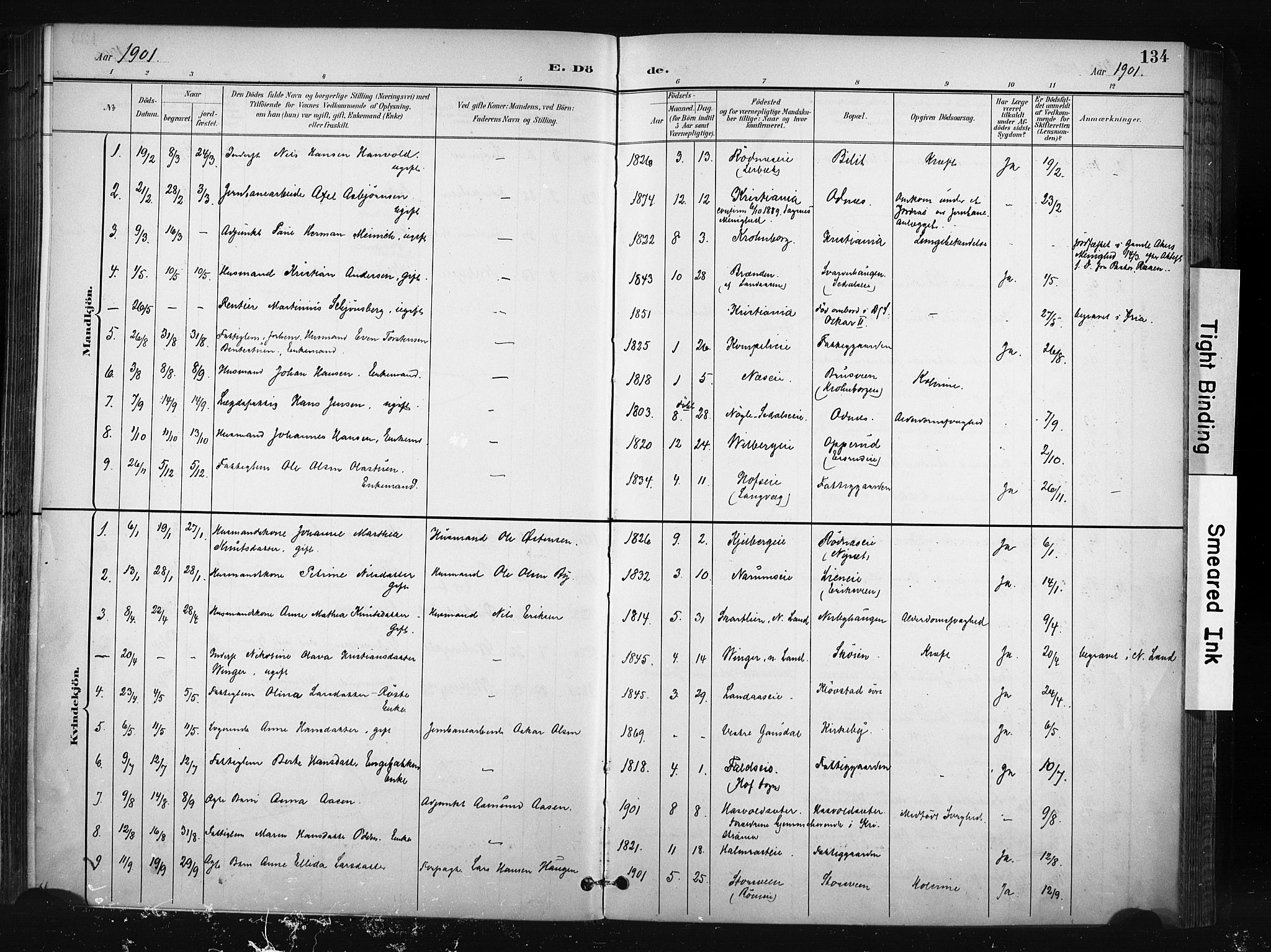 Søndre Land prestekontor, SAH/PREST-122/K/L0004: Ministerialbok nr. 4, 1895-1904, s. 134