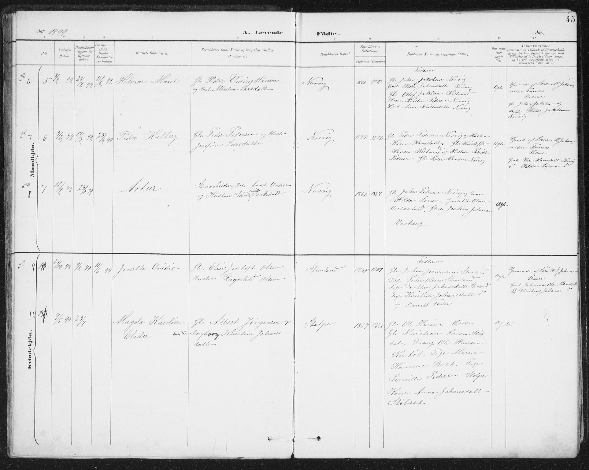Ministerialprotokoller, klokkerbøker og fødselsregistre - Nordland, AV/SAT-A-1459/852/L0741: Ministerialbok nr. 852A11, 1894-1917, s. 45