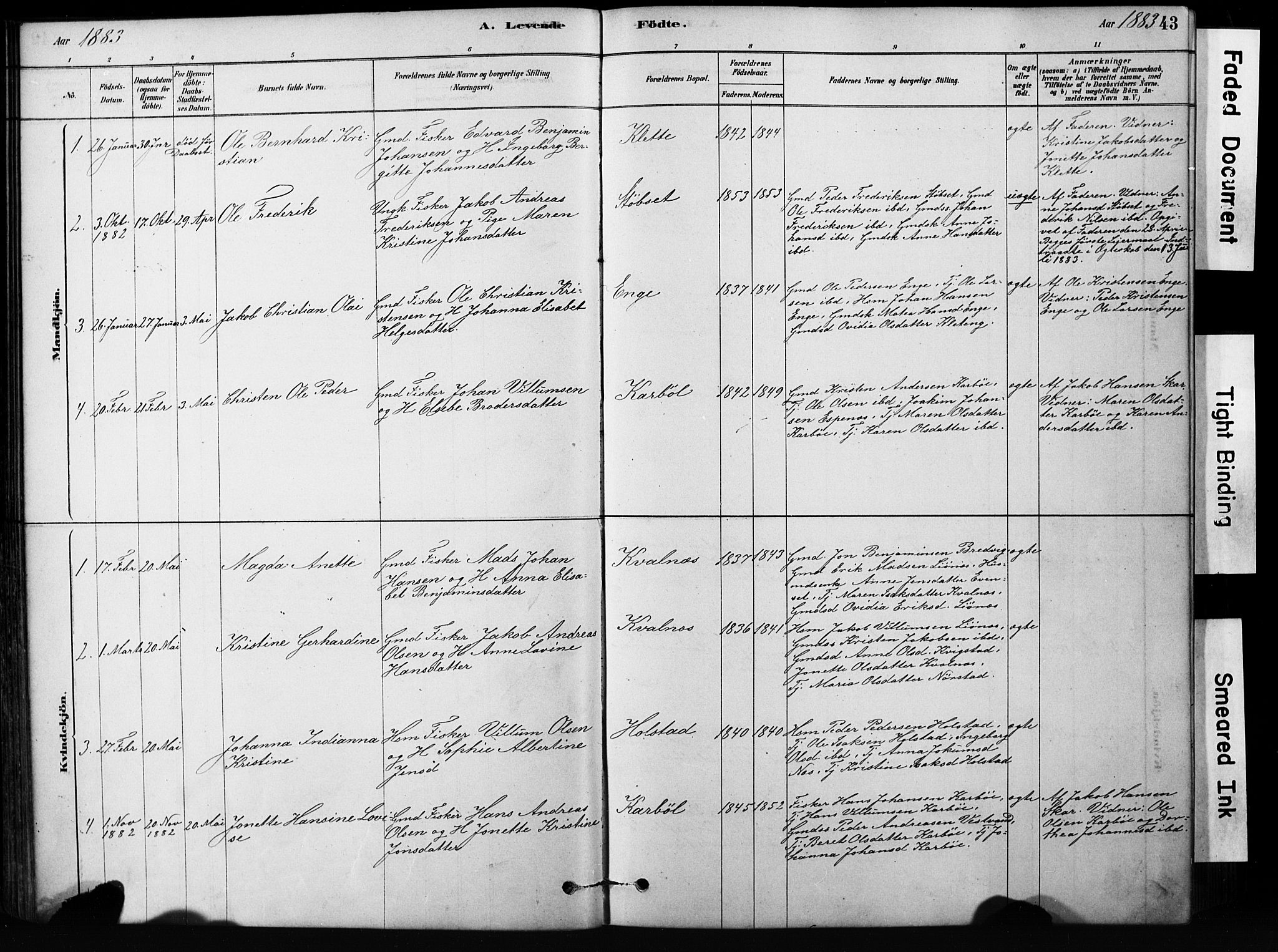 Ministerialprotokoller, klokkerbøker og fødselsregistre - Nordland, SAT/A-1459/852/L0754: Klokkerbok nr. 852C05, 1878-1894, s. 43