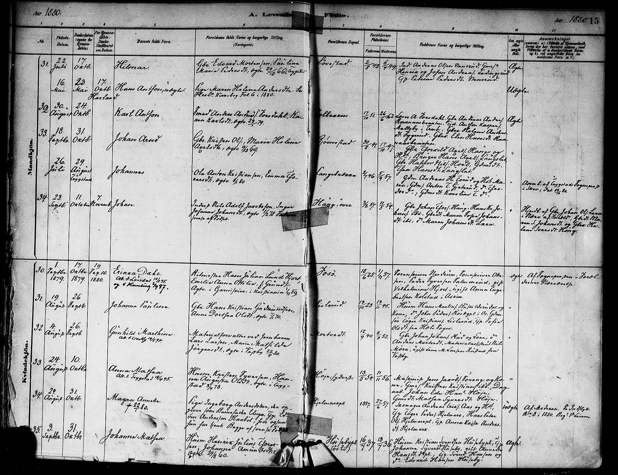 Eidsberg prestekontor Kirkebøker, AV/SAO-A-10905/F/Fa/L0012: Ministerialbok nr. I 12, 1879-1901, s. 15