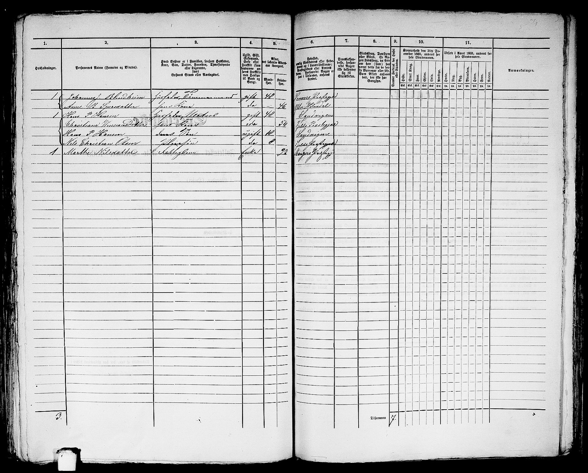 RA, Folketelling 1865 for 1281L Bergen Landdistrikt, Domkirkens landsokn og Korskirkens landsokn, 1865, s. 250