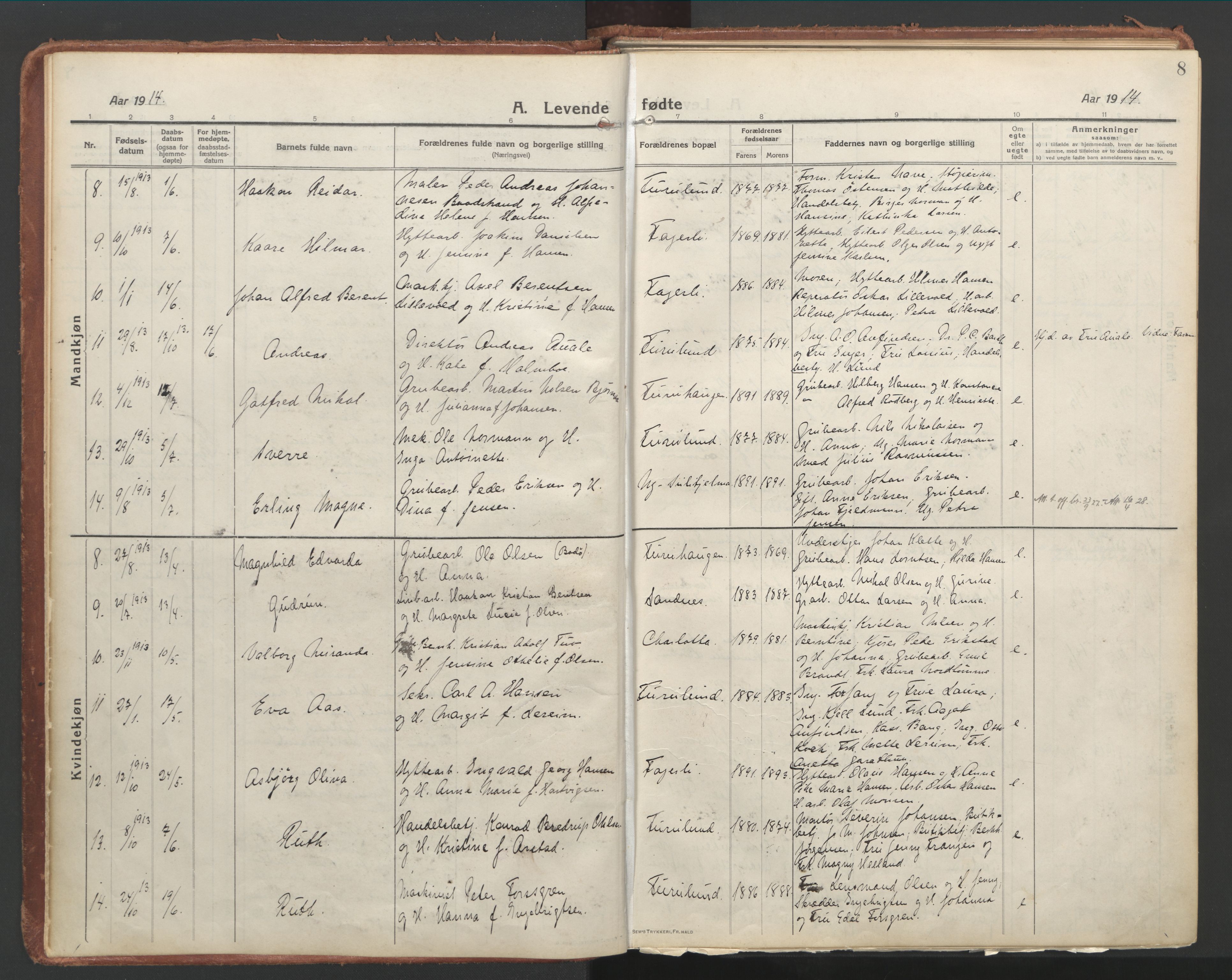 Ministerialprotokoller, klokkerbøker og fødselsregistre - Nordland, AV/SAT-A-1459/850/L0715: Residerende kapellans bok nr. 850B05, 1913-1924, s. 8