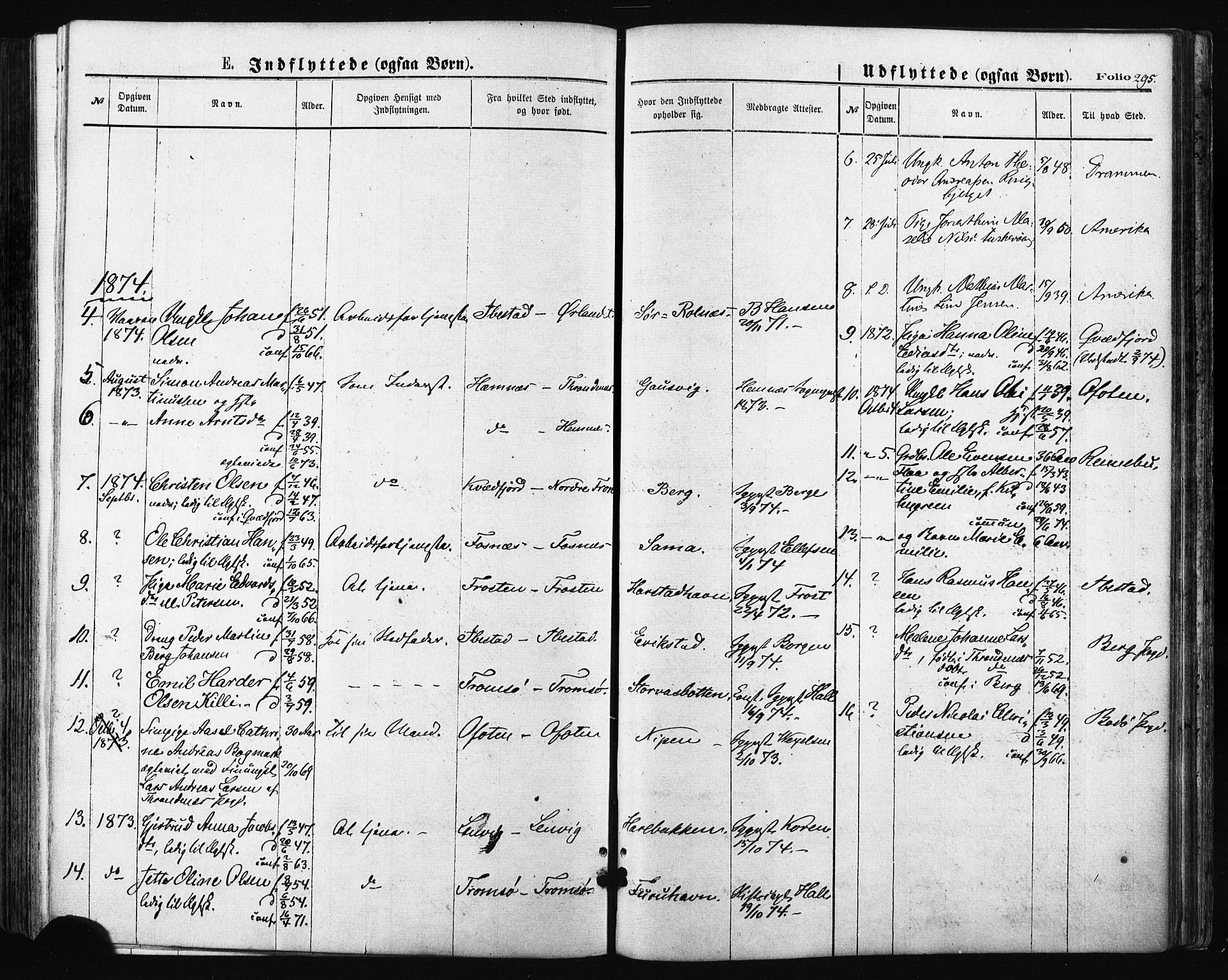 Trondenes sokneprestkontor, AV/SATØ-S-1319/H/Ha/L0013kirke: Ministerialbok nr. 13, 1870-1878, s. 295