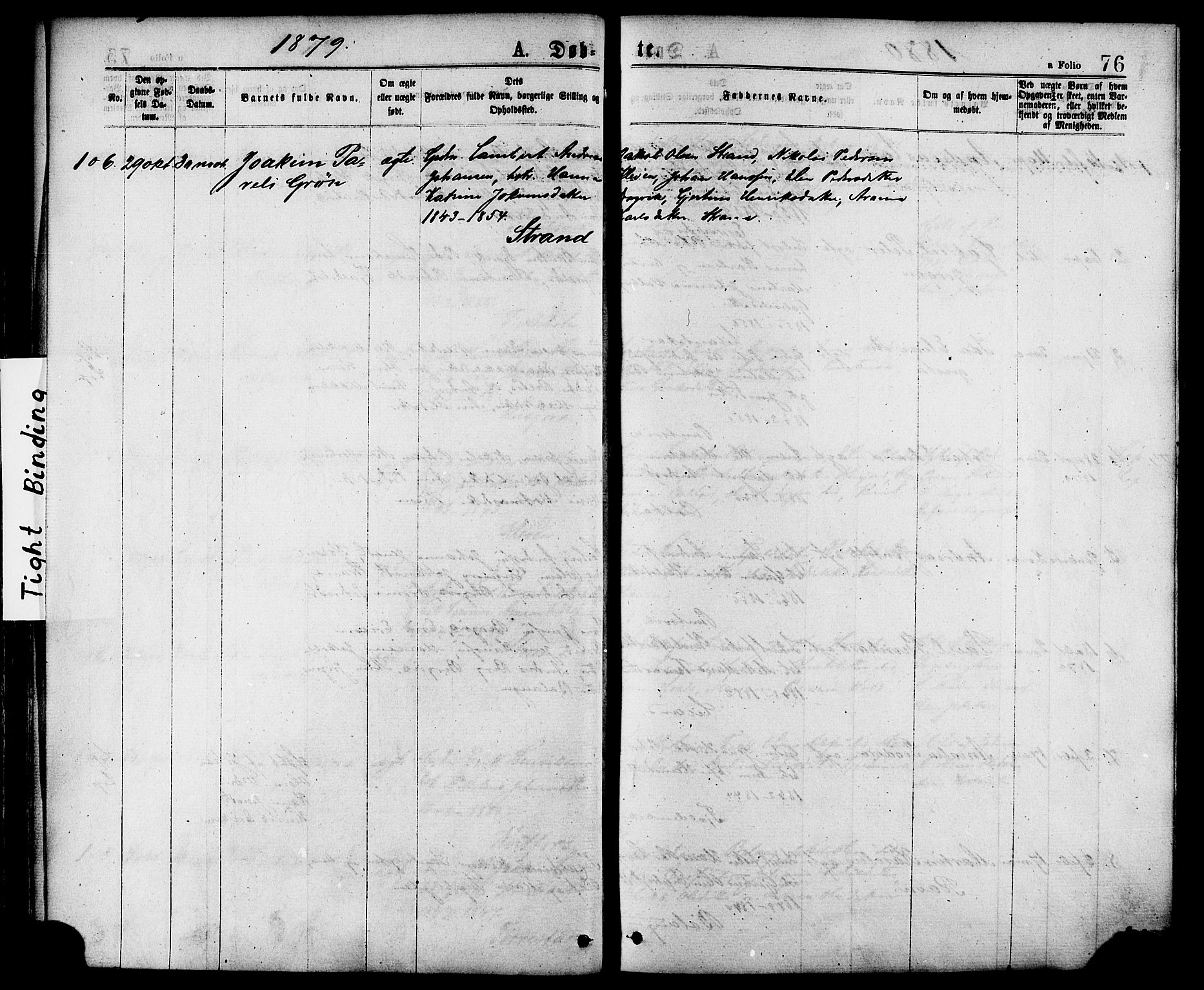 Ministerialprotokoller, klokkerbøker og fødselsregistre - Nordland, AV/SAT-A-1459/863/L0897: Ministerialbok nr. 863A09, 1872-1886, s. 76