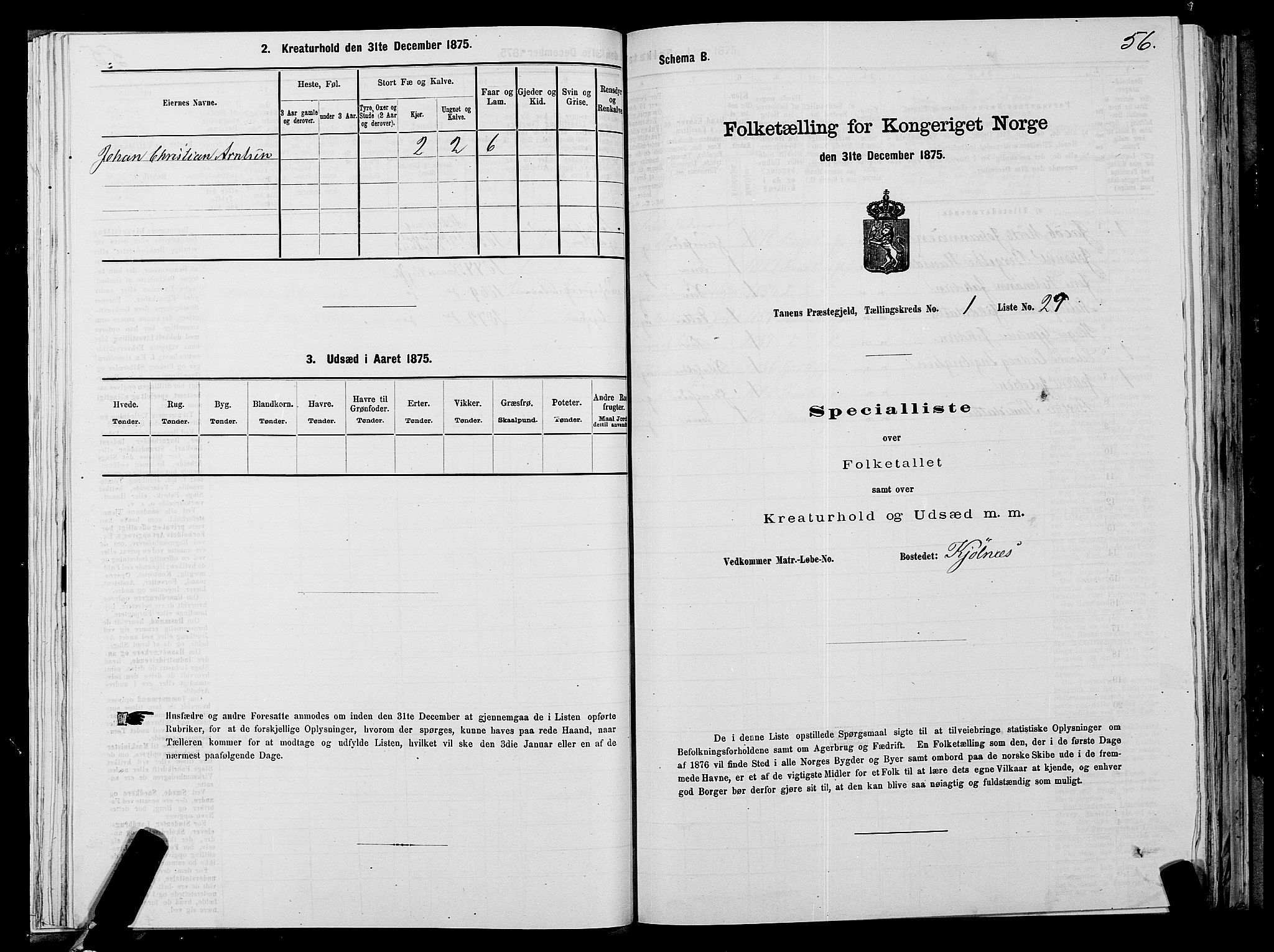 SATØ, Folketelling 1875 for 2025P Tana prestegjeld, 1875, s. 1056