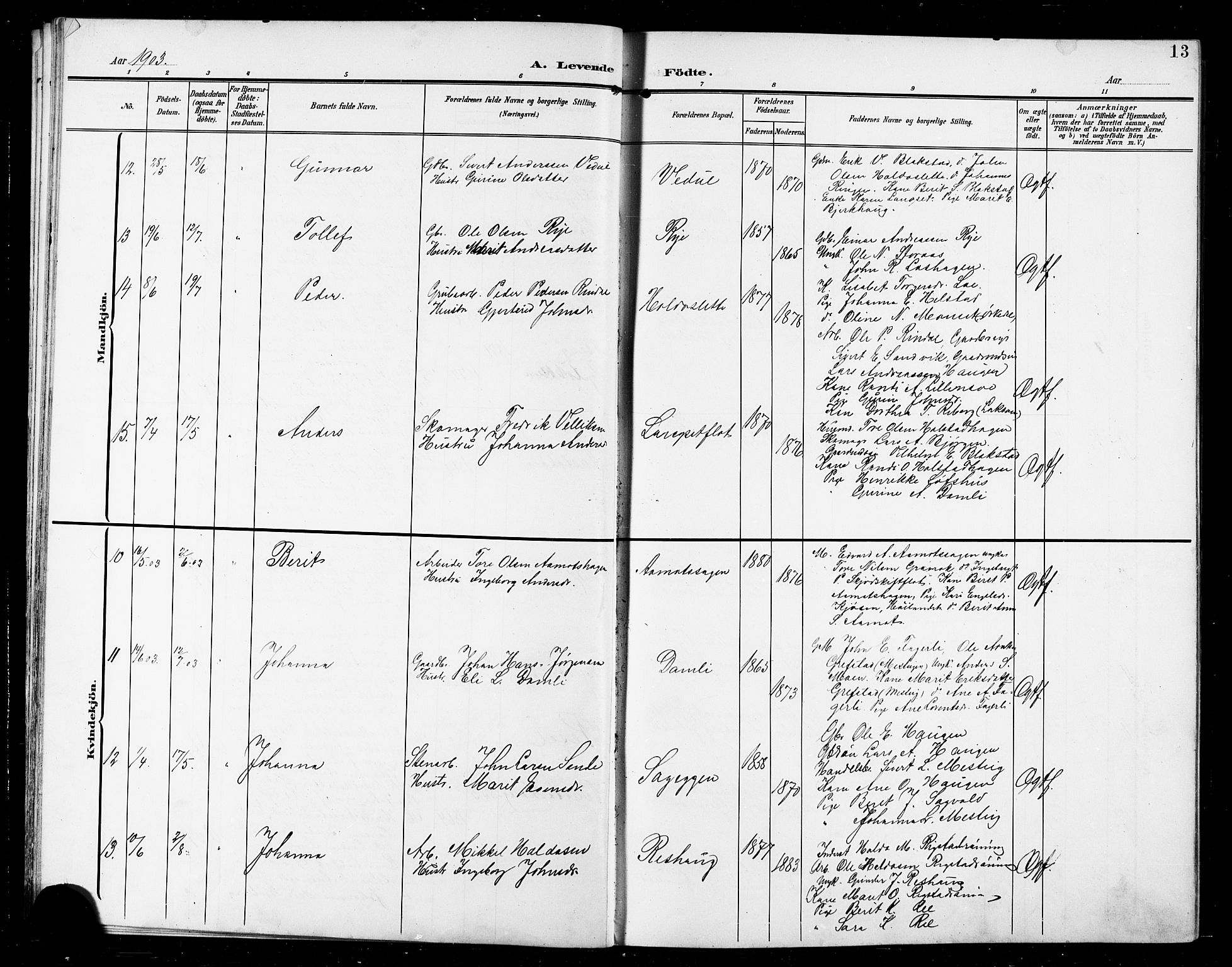 Ministerialprotokoller, klokkerbøker og fødselsregistre - Sør-Trøndelag, AV/SAT-A-1456/672/L0864: Klokkerbok nr. 672C03, 1902-1914, s. 13