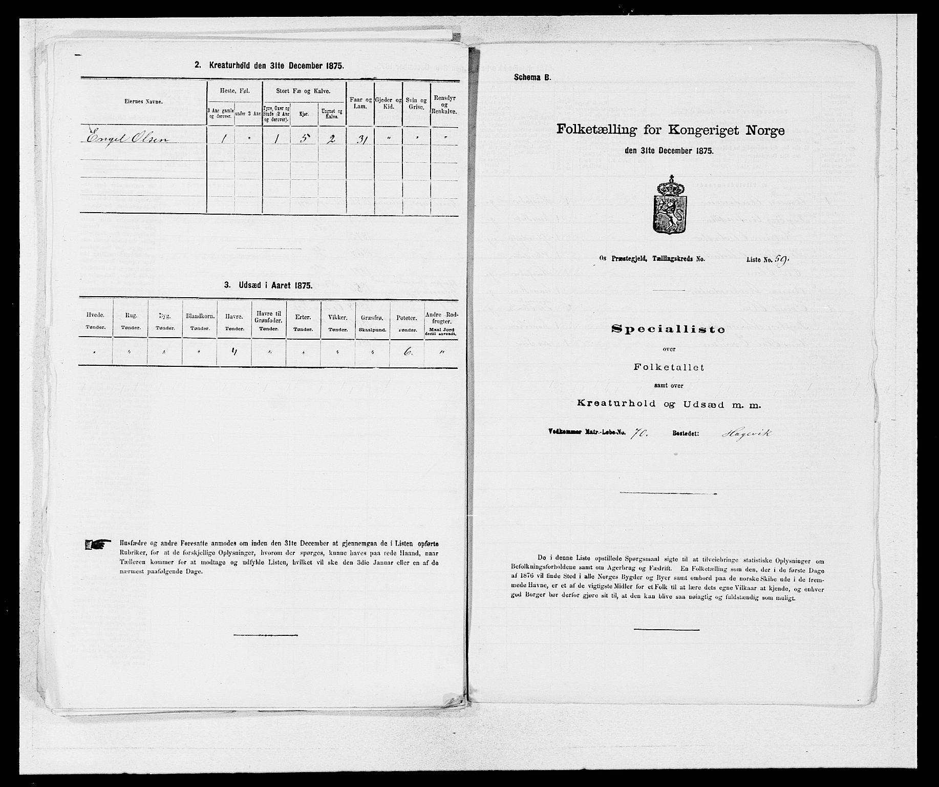 SAB, Folketelling 1875 for 1243P Os prestegjeld, 1875, s. 263