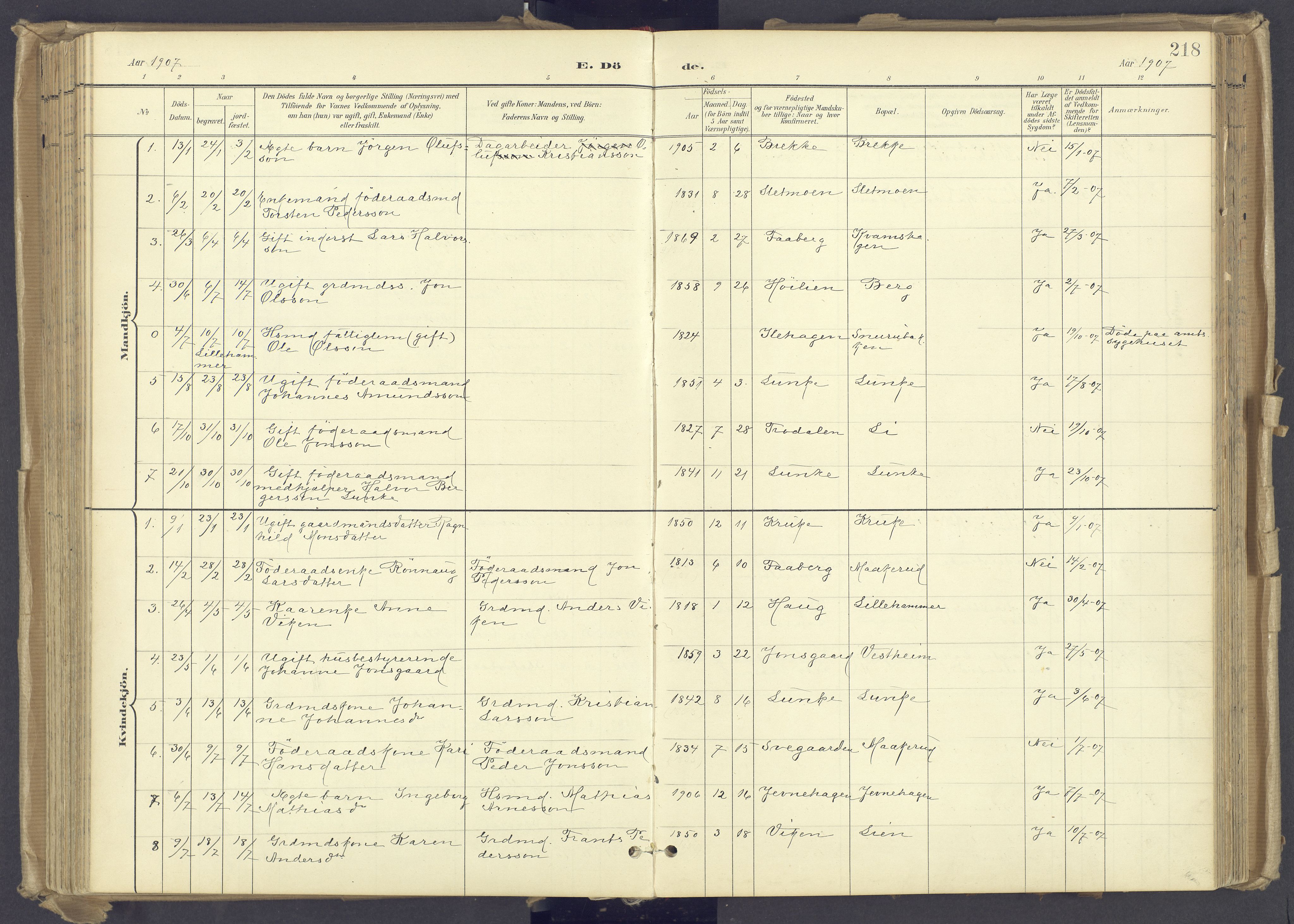 Øyer prestekontor, AV/SAH-PREST-084/H/Ha/Haa/L0012: Ministerialbok nr. 12, 1897-1920, s. 218