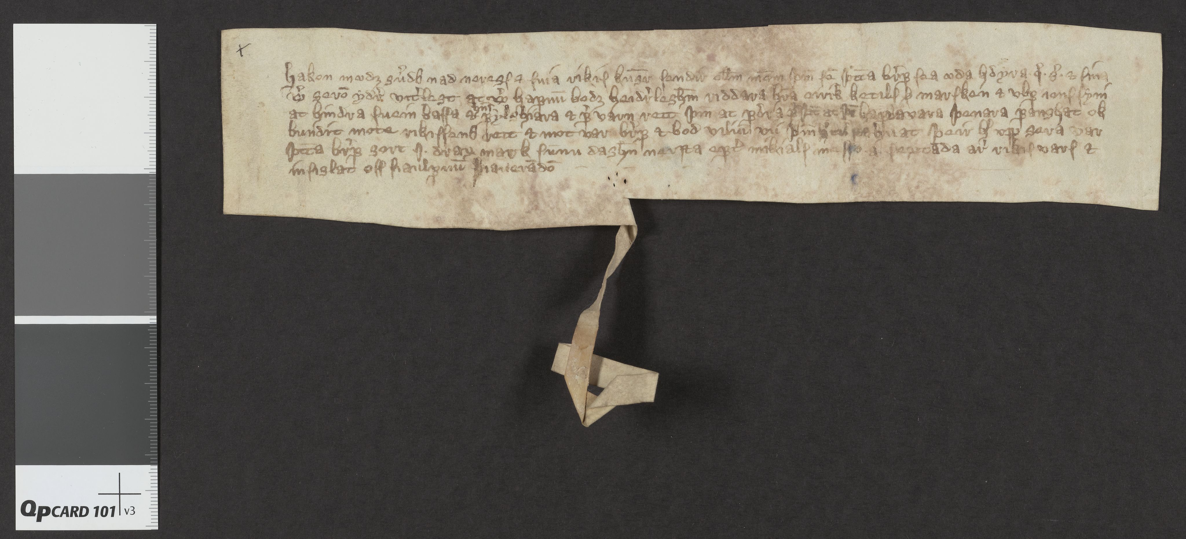 Riksarkivets diplomsamling, AV/RA-EA-5965/F06/L0006: Dokument nr. 8b-e, 1370