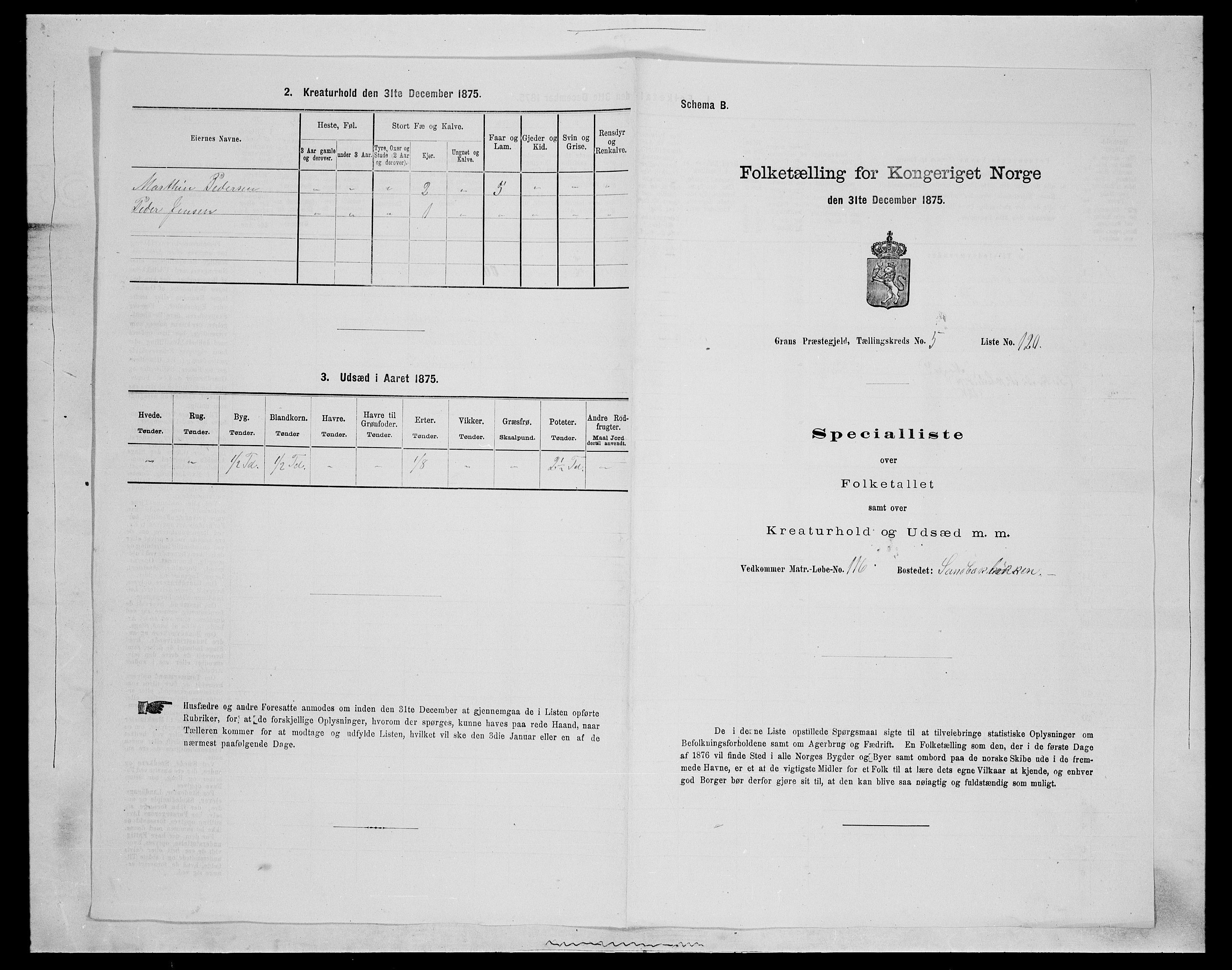 SAH, Folketelling 1875 for 0534P Gran prestegjeld, 1875, s. 1004