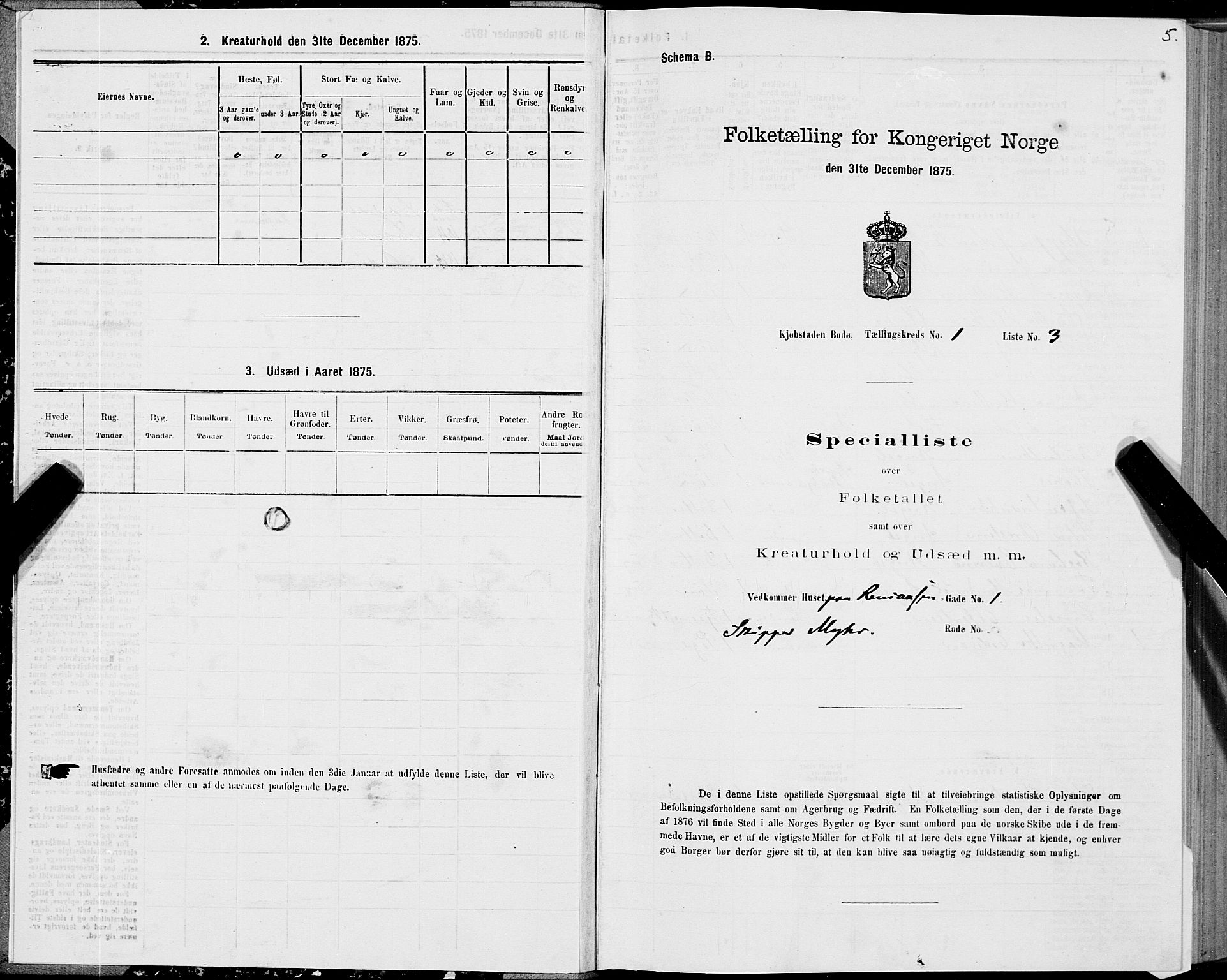 SAT, Folketelling 1875 for 1804B Bodø prestegjeld, Bodø kjøpstad, 1875, s. 5