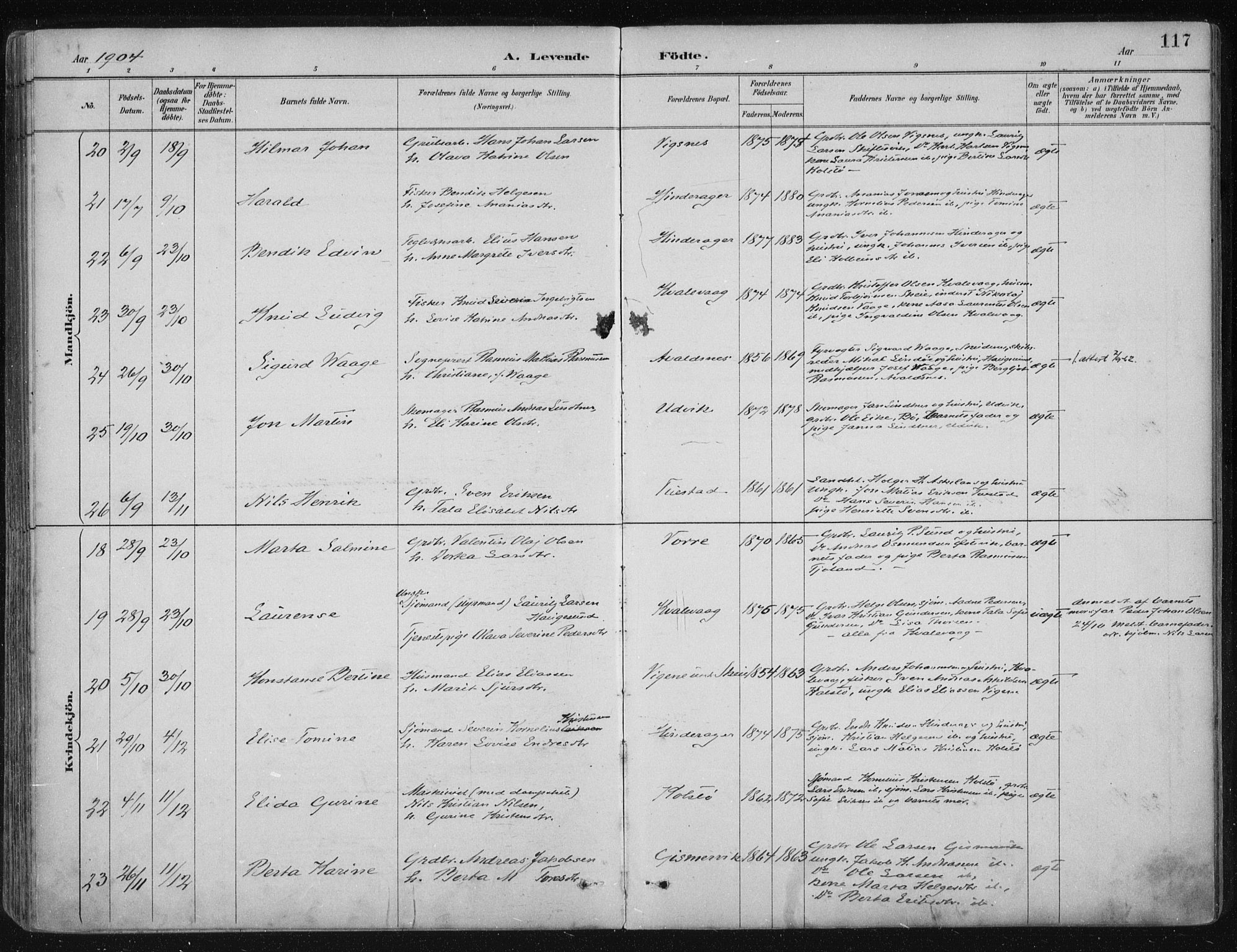 Avaldsnes sokneprestkontor, AV/SAST-A -101851/H/Ha/Haa/L0017: Ministerialbok nr. A 17, 1889-1920, s. 117