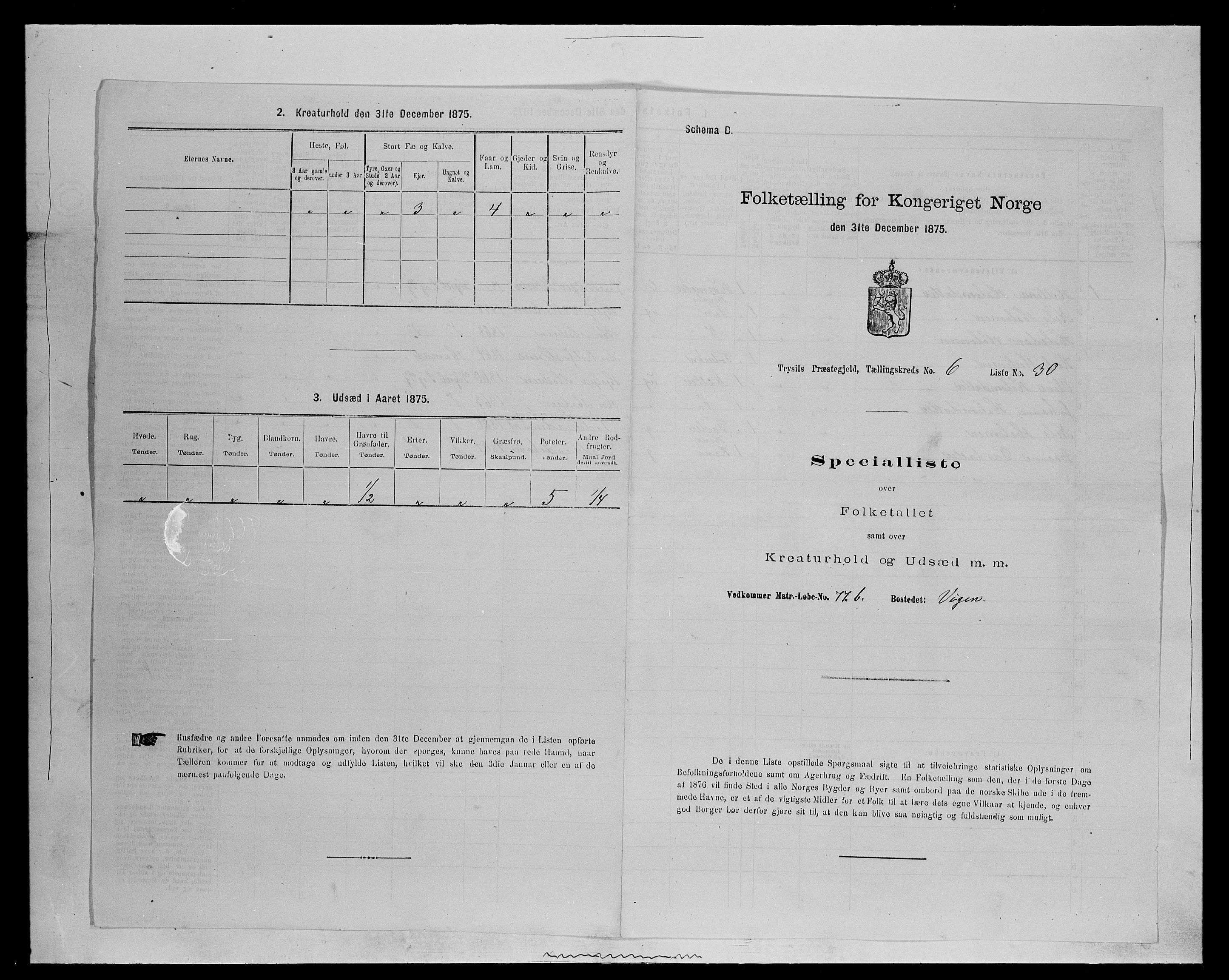 SAH, Folketelling 1875 for 0428P Trysil prestegjeld, 1875, s. 779