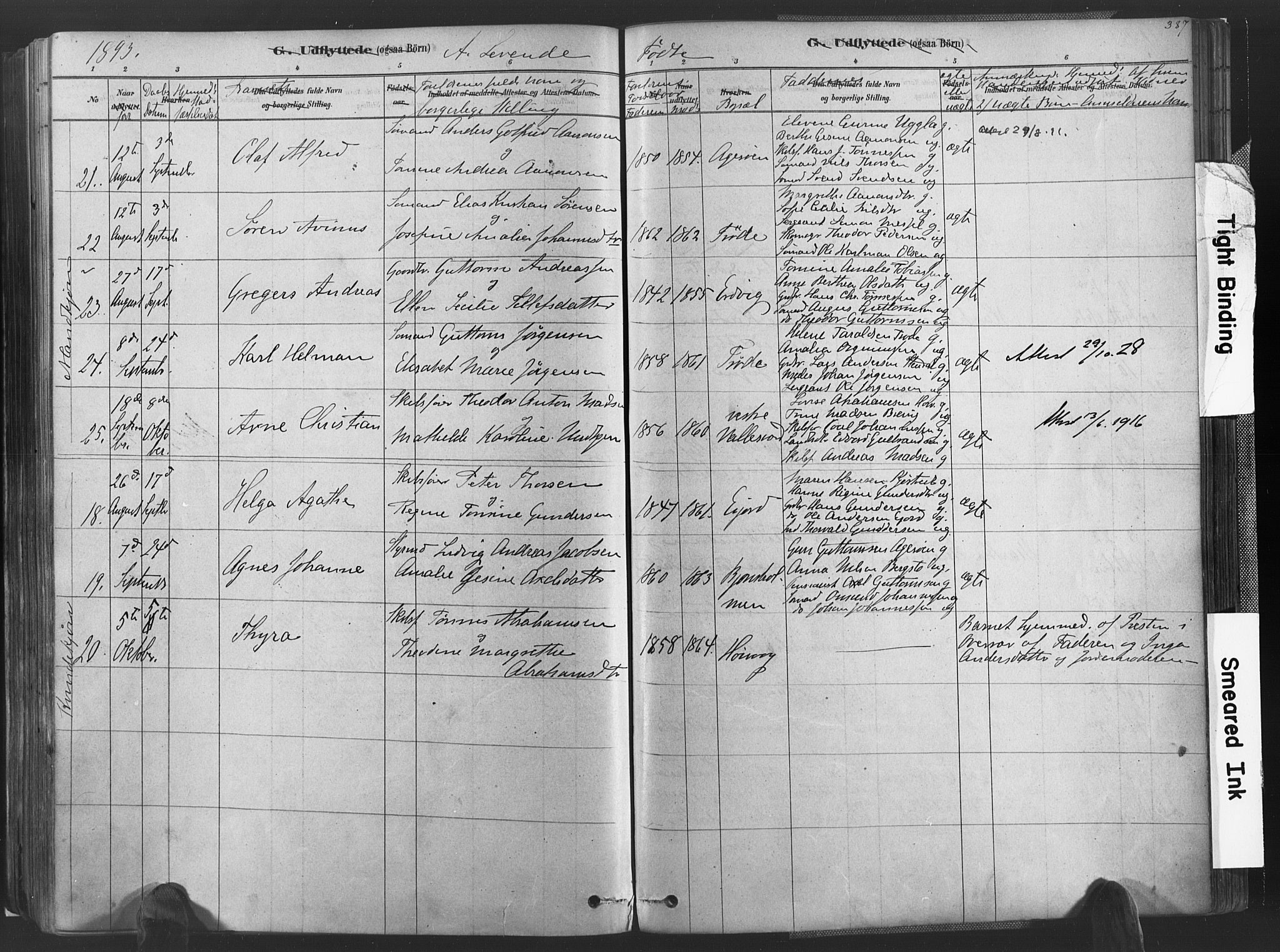 Høvåg sokneprestkontor, AV/SAK-1111-0025/F/Fa/L0005: Ministerialbok nr. A 5, 1878-1893, s. 387