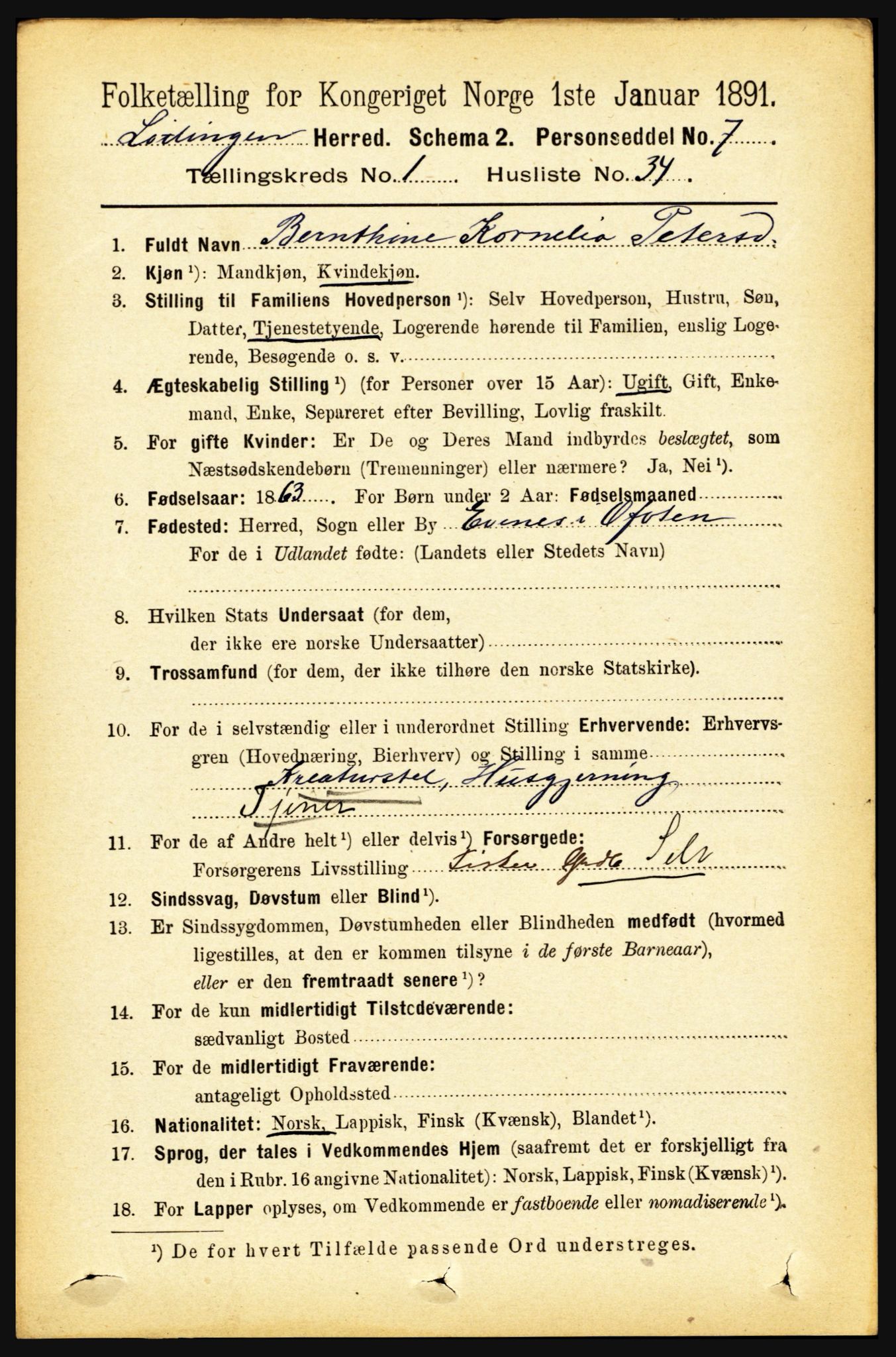 RA, Folketelling 1891 for 1851 Lødingen herred, 1891, s. 315