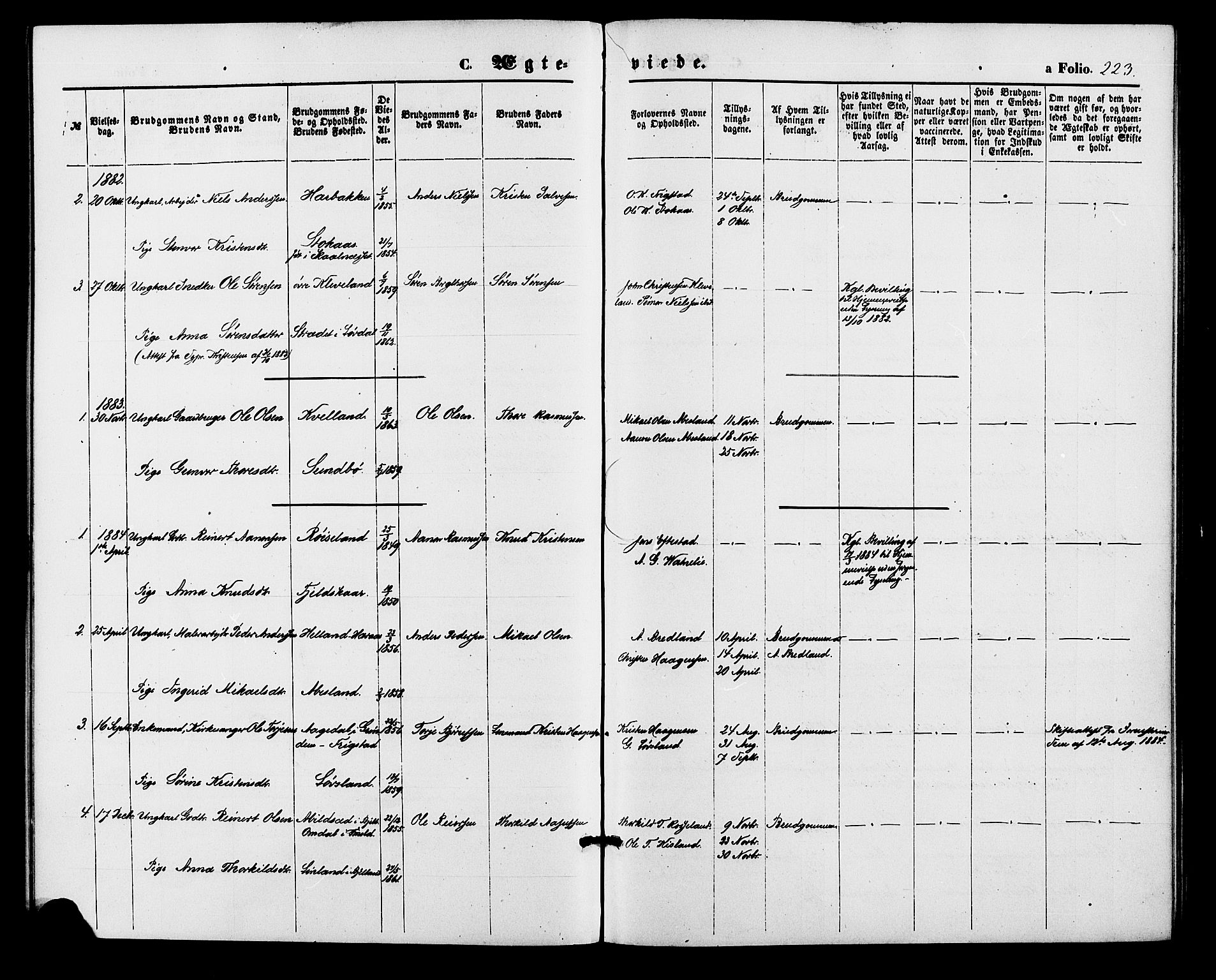 Bjelland sokneprestkontor, AV/SAK-1111-0005/F/Fa/Fab/L0003: Ministerialbok nr. A 3, 1870-1887, s. 223