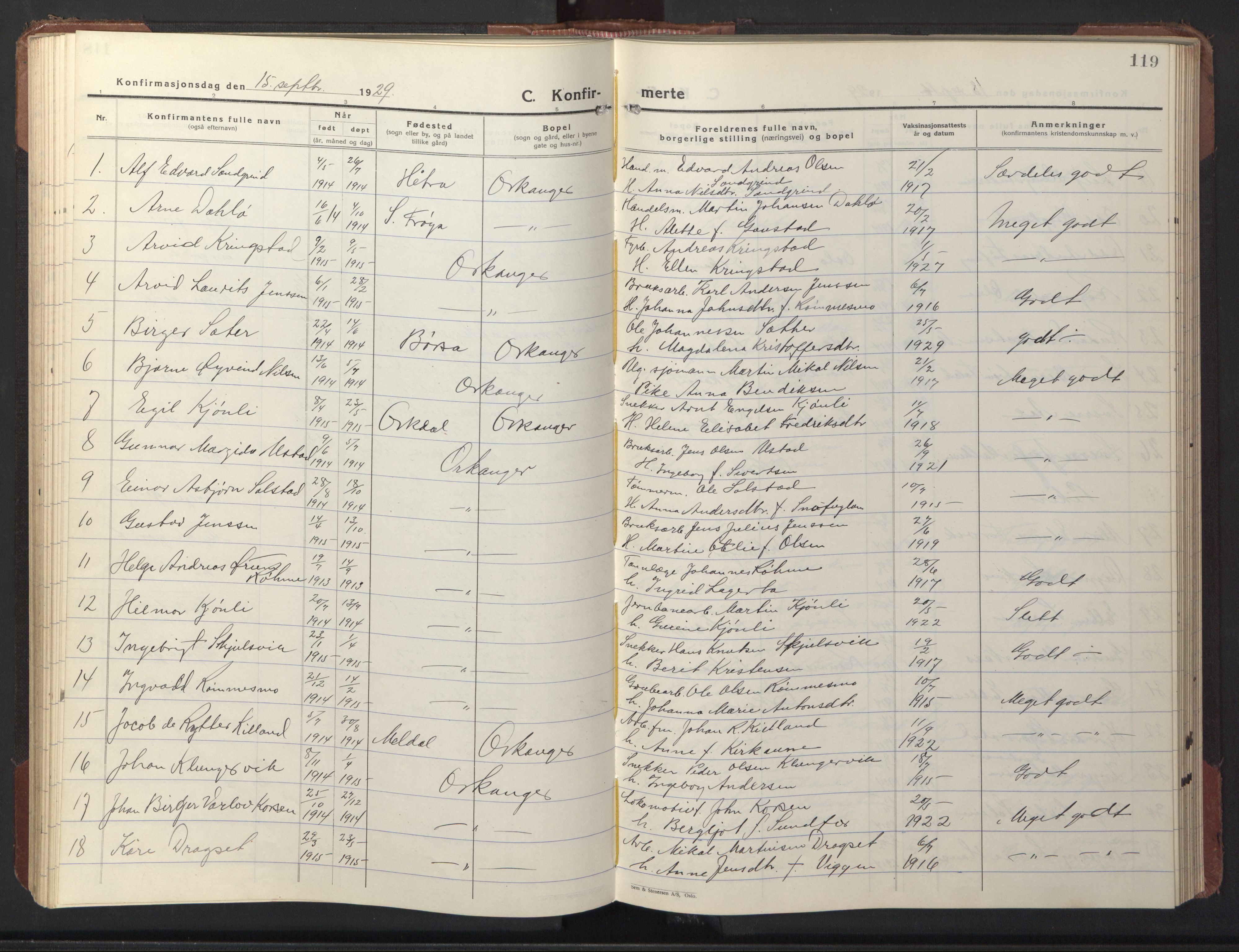 Ministerialprotokoller, klokkerbøker og fødselsregistre - Sør-Trøndelag, AV/SAT-A-1456/669/L0832: Klokkerbok nr. 669C02, 1925-1953, s. 119