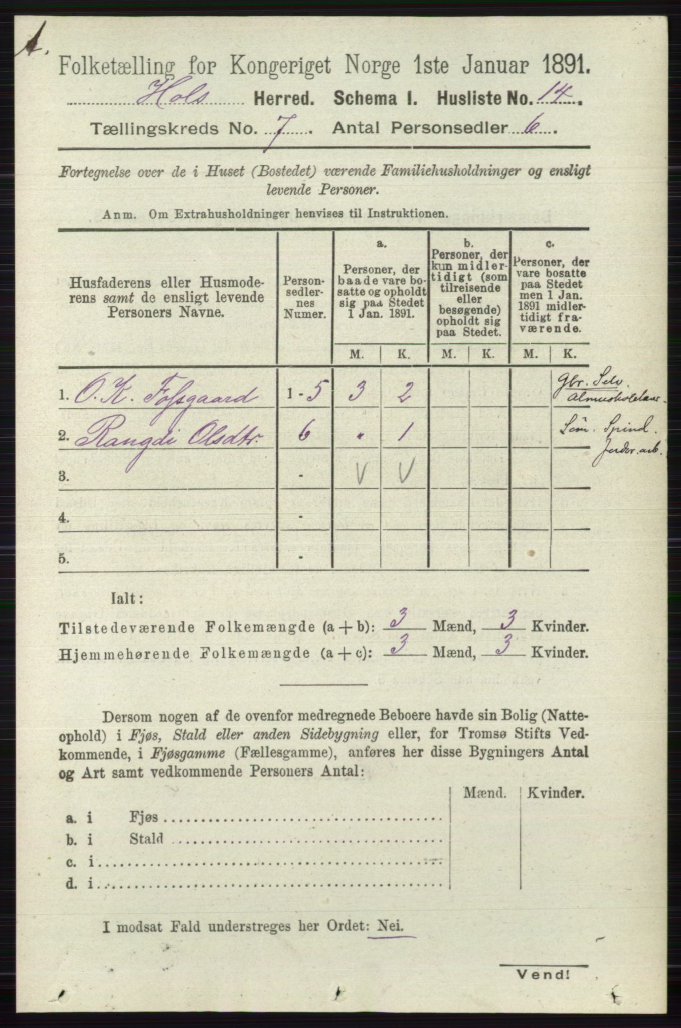 RA, Folketelling 1891 for 0620 Hol herred, 1891, s. 1989