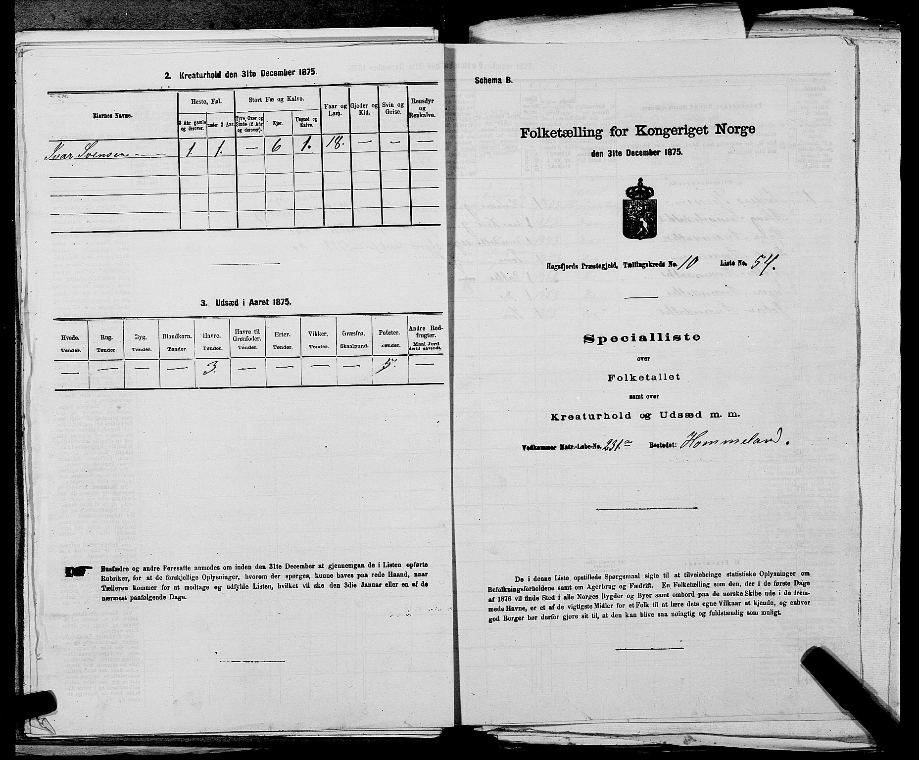 SAST, Folketelling 1875 for 1128P Høgsfjord prestegjeld, 1875, s. 886