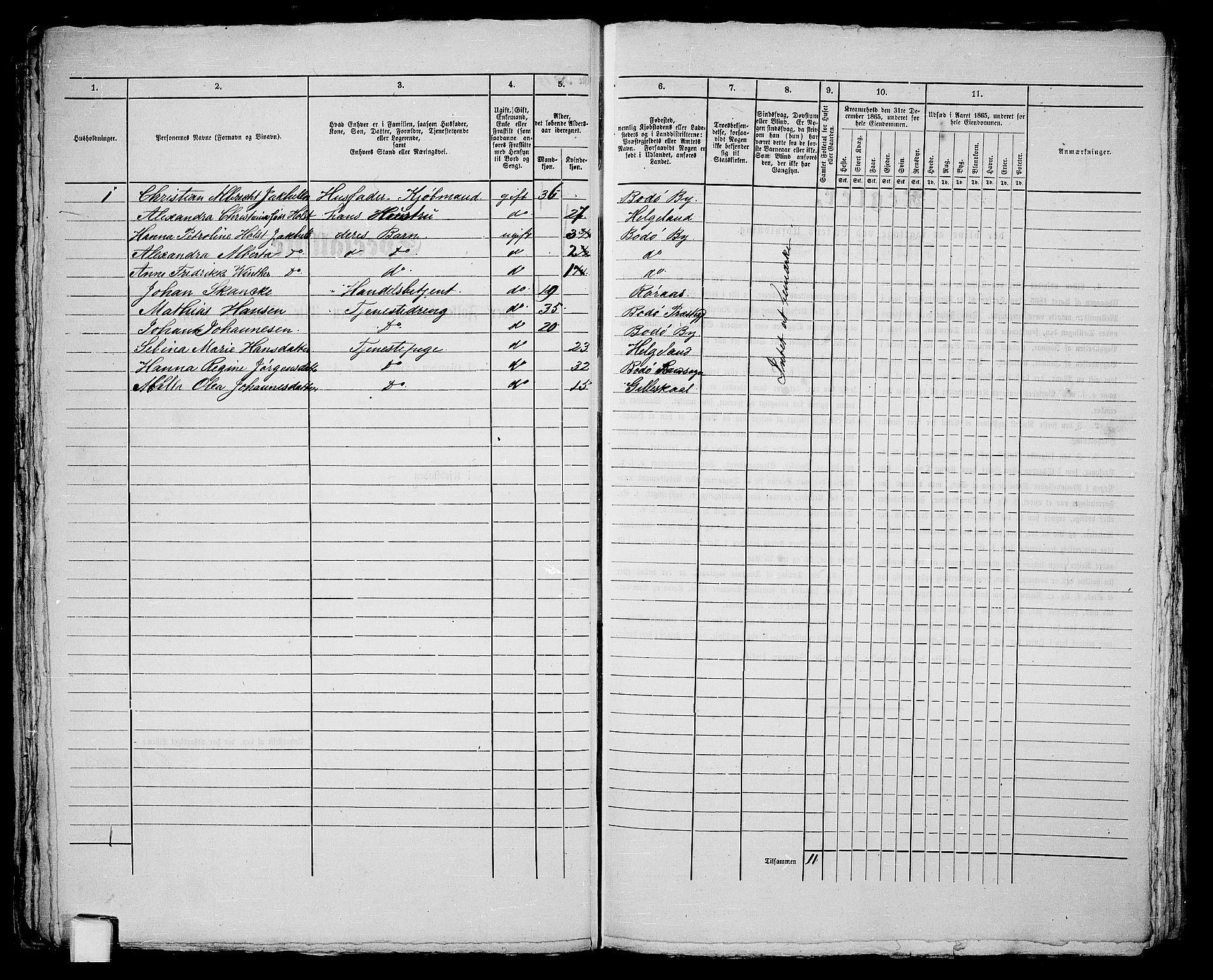 RA, Folketelling 1865 for 1804B Bodø prestegjeld, Bodø kjøpstad, 1865, s. 41