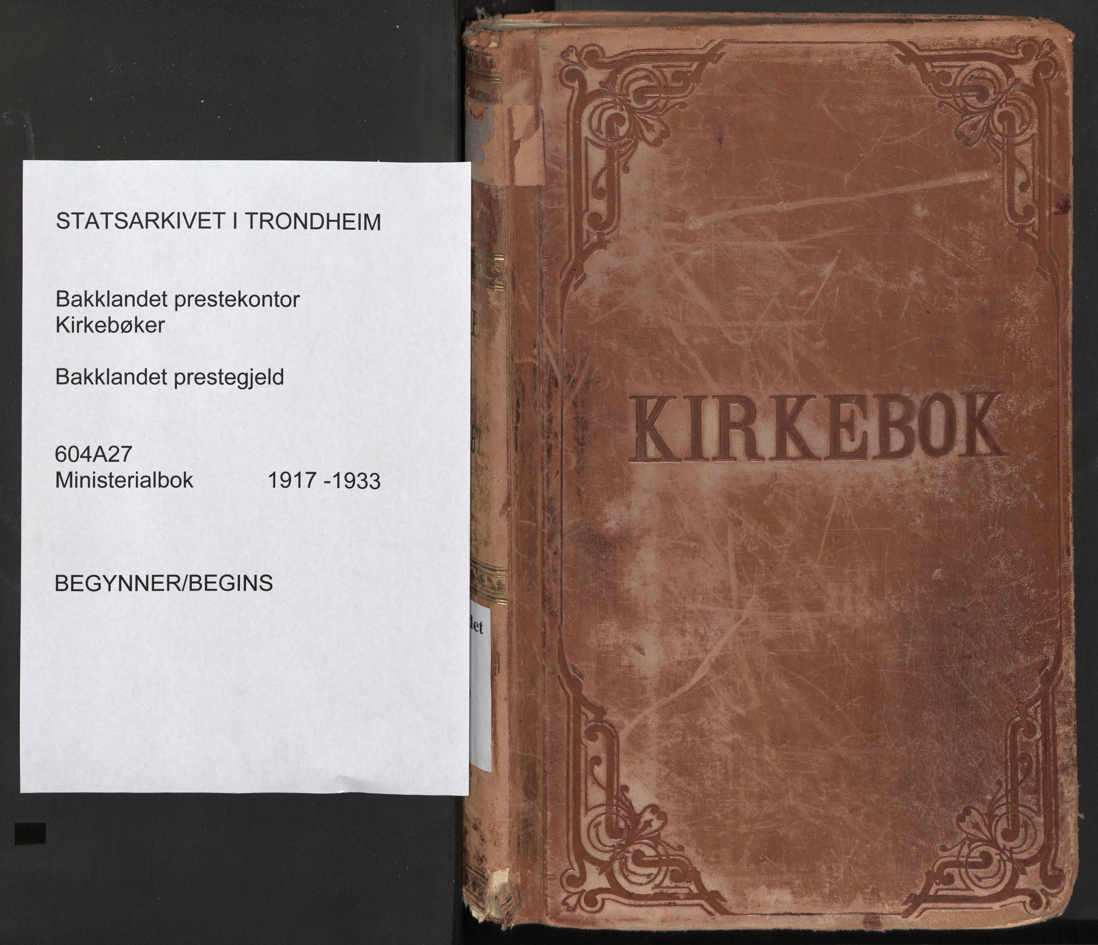 Ministerialprotokoller, klokkerbøker og fødselsregistre - Sør-Trøndelag, AV/SAT-A-1456/604/L0207: Ministerialbok nr. 604A27, 1917-1933