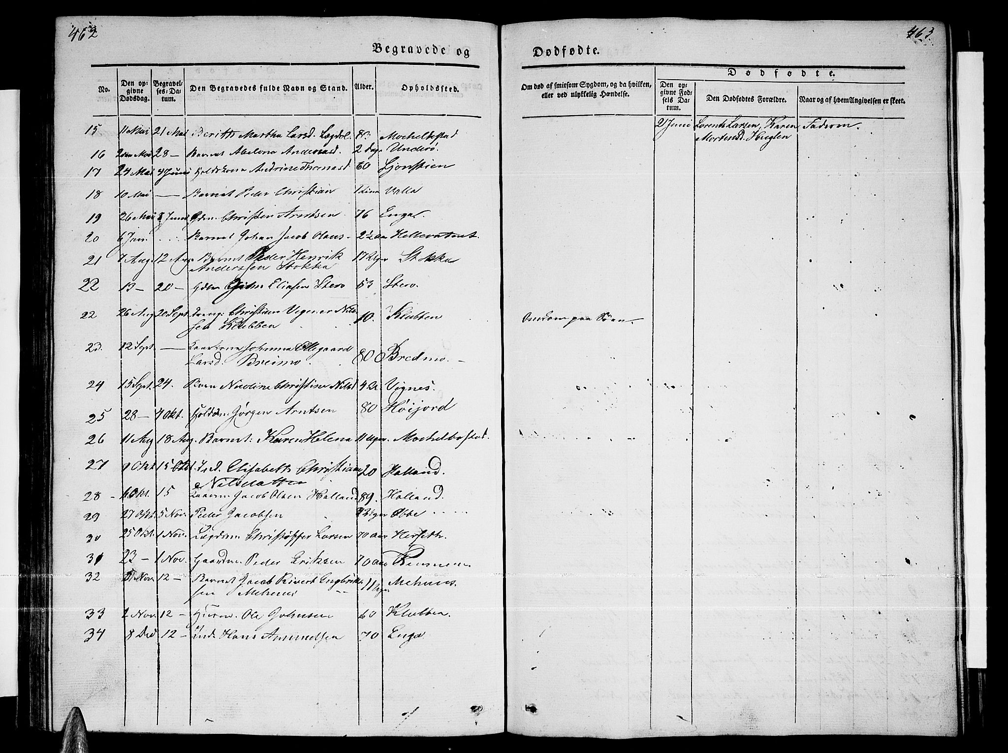 Ministerialprotokoller, klokkerbøker og fødselsregistre - Nordland, AV/SAT-A-1459/838/L0555: Klokkerbok nr. 838C02, 1842-1861, s. 462-463