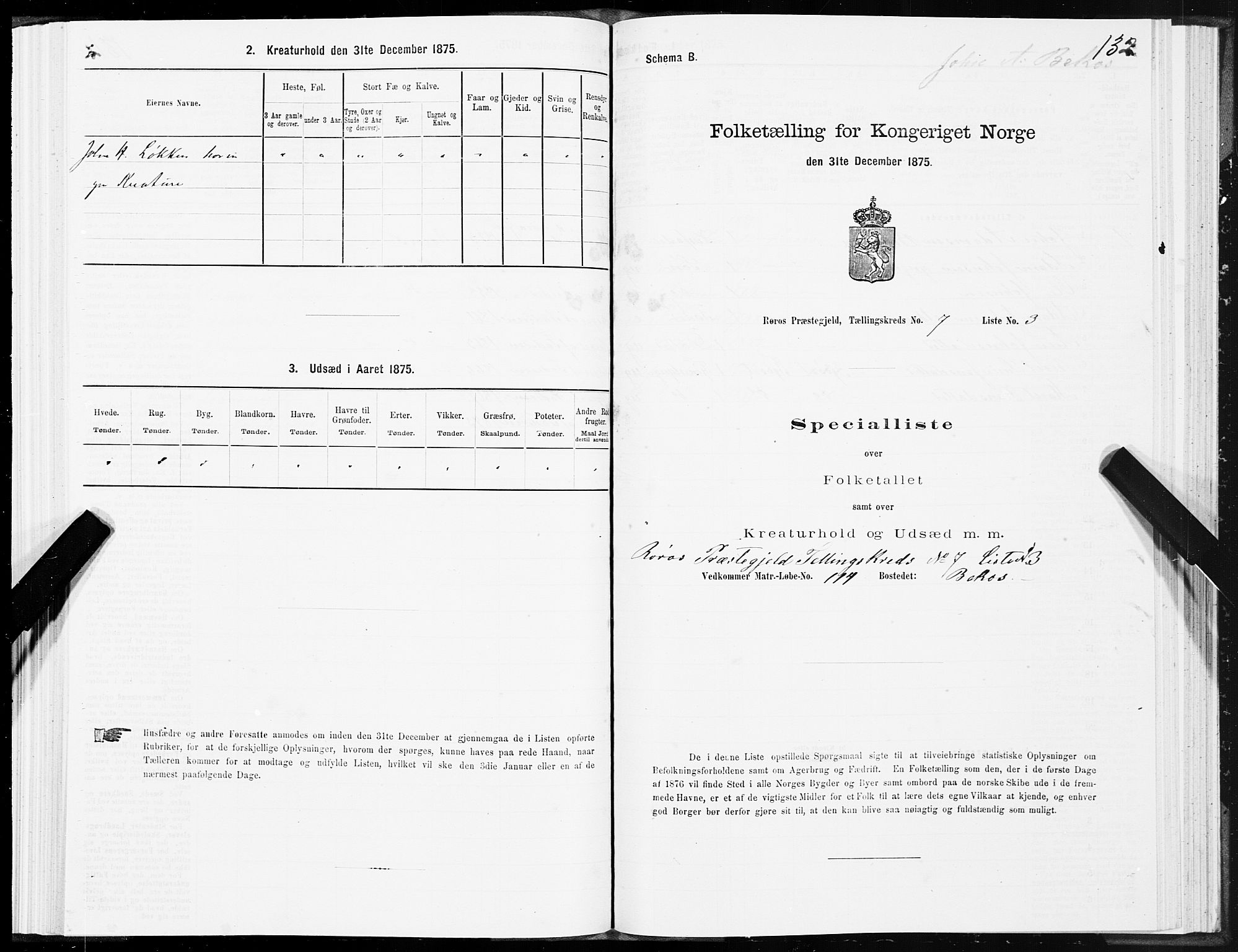 SAT, Folketelling 1875 for 1640P Røros prestegjeld, 1875, s. 4132