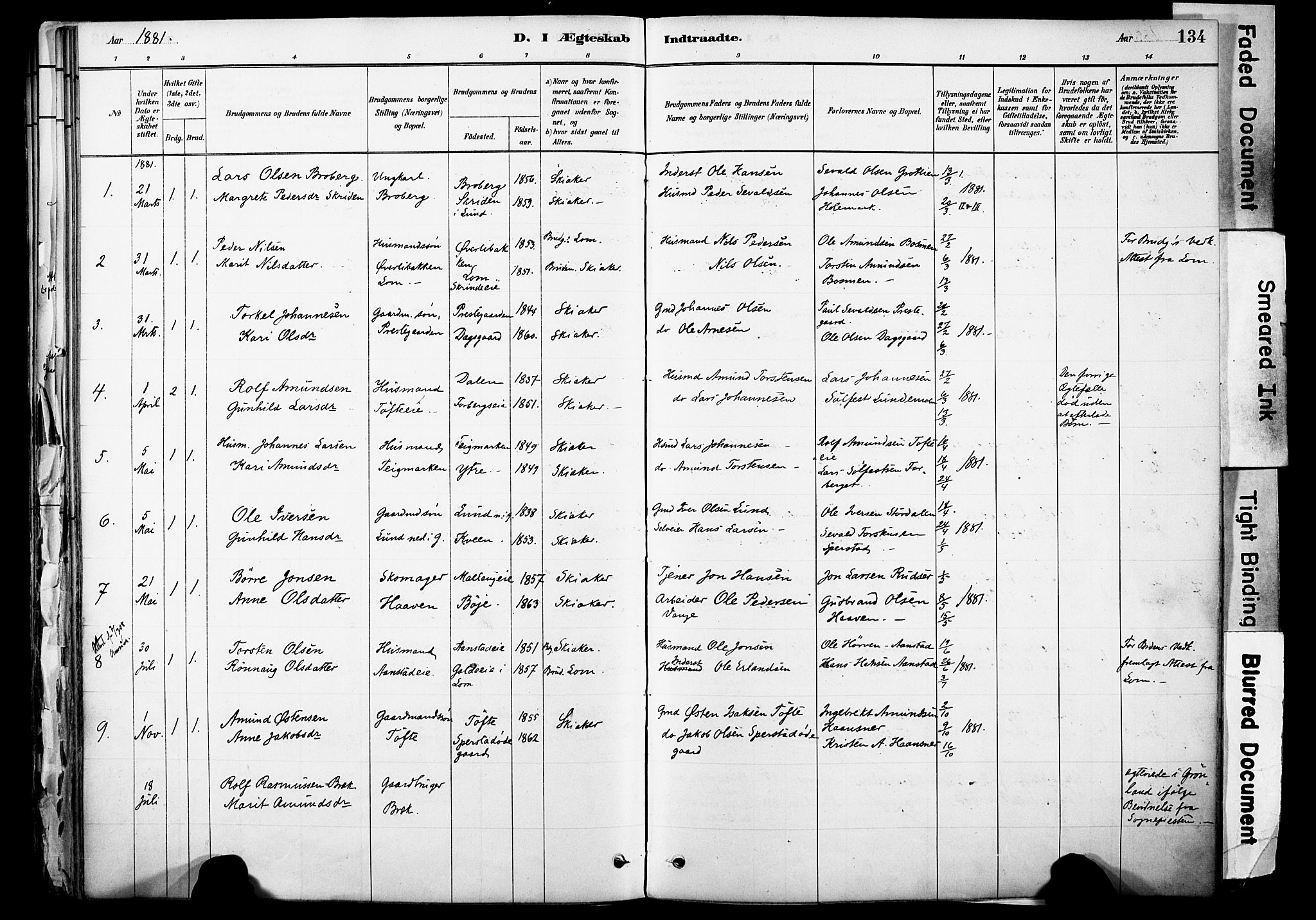 Skjåk prestekontor, AV/SAH-PREST-072/H/Ha/Haa/L0003: Ministerialbok nr. 3, 1880-1907, s. 134
