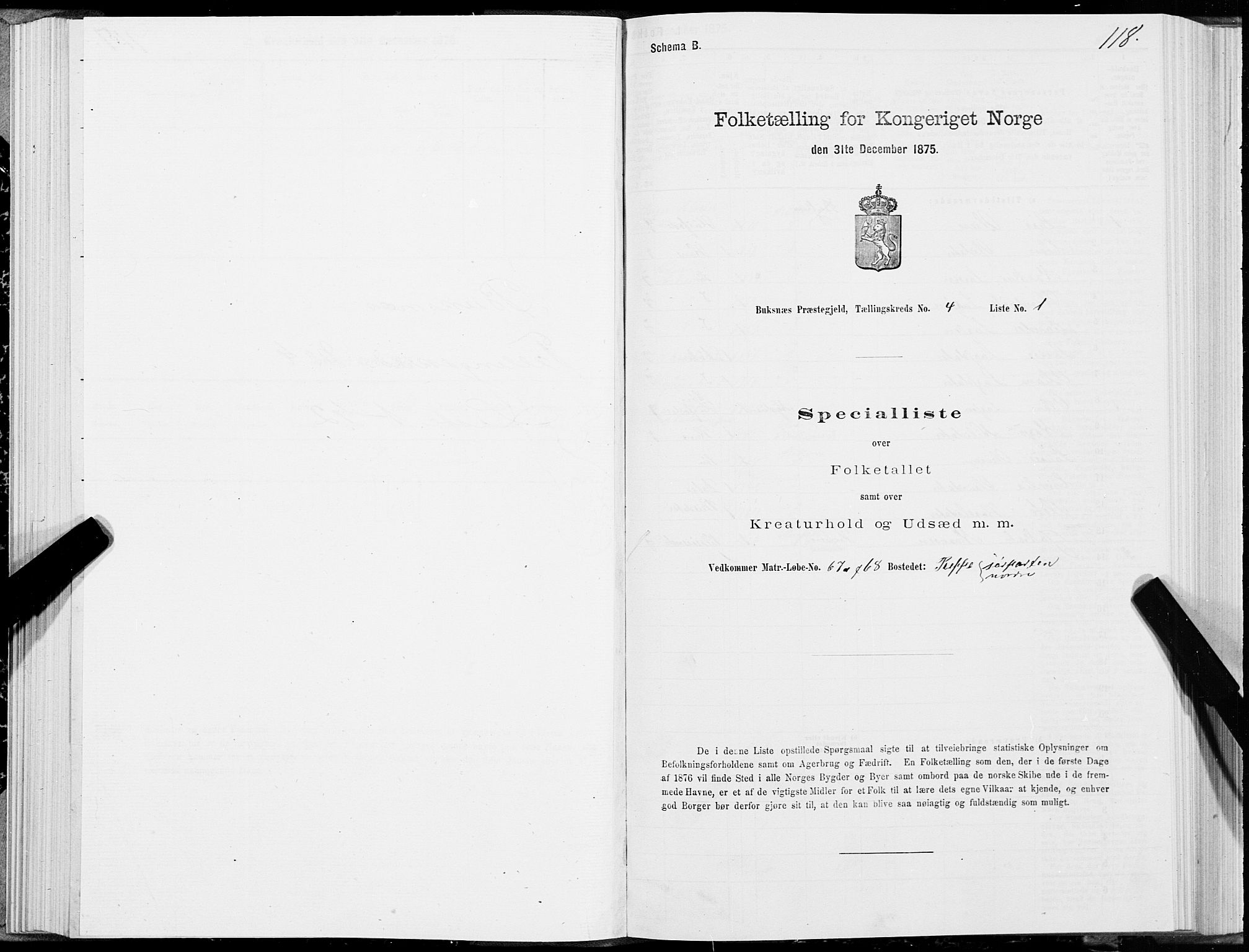 SAT, Folketelling 1875 for 1860P Buksnes prestegjeld, 1875, s. 2118