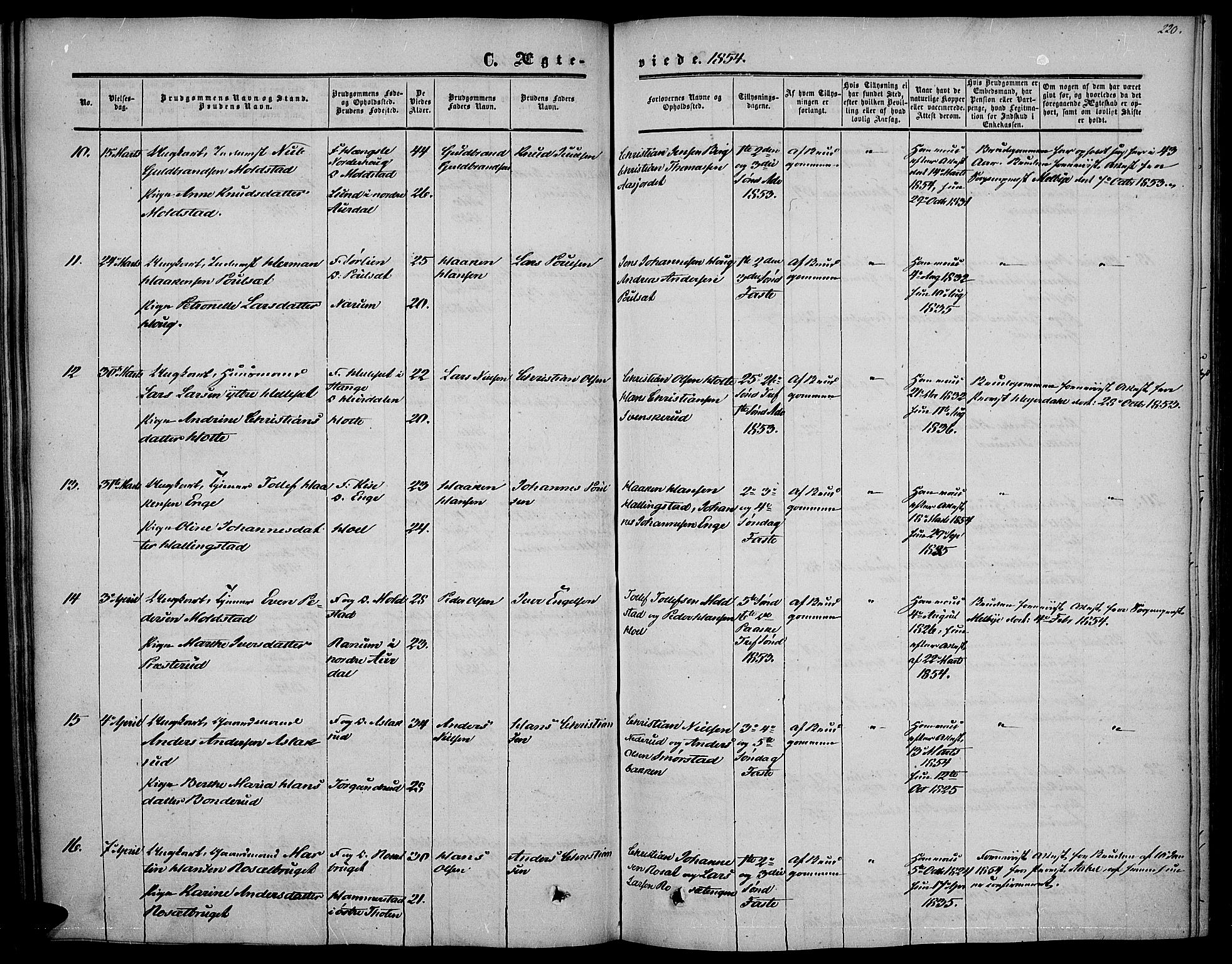 Vestre Toten prestekontor, SAH/PREST-108/H/Ha/Haa/L0005: Ministerialbok nr. 5, 1850-1855, s. 220