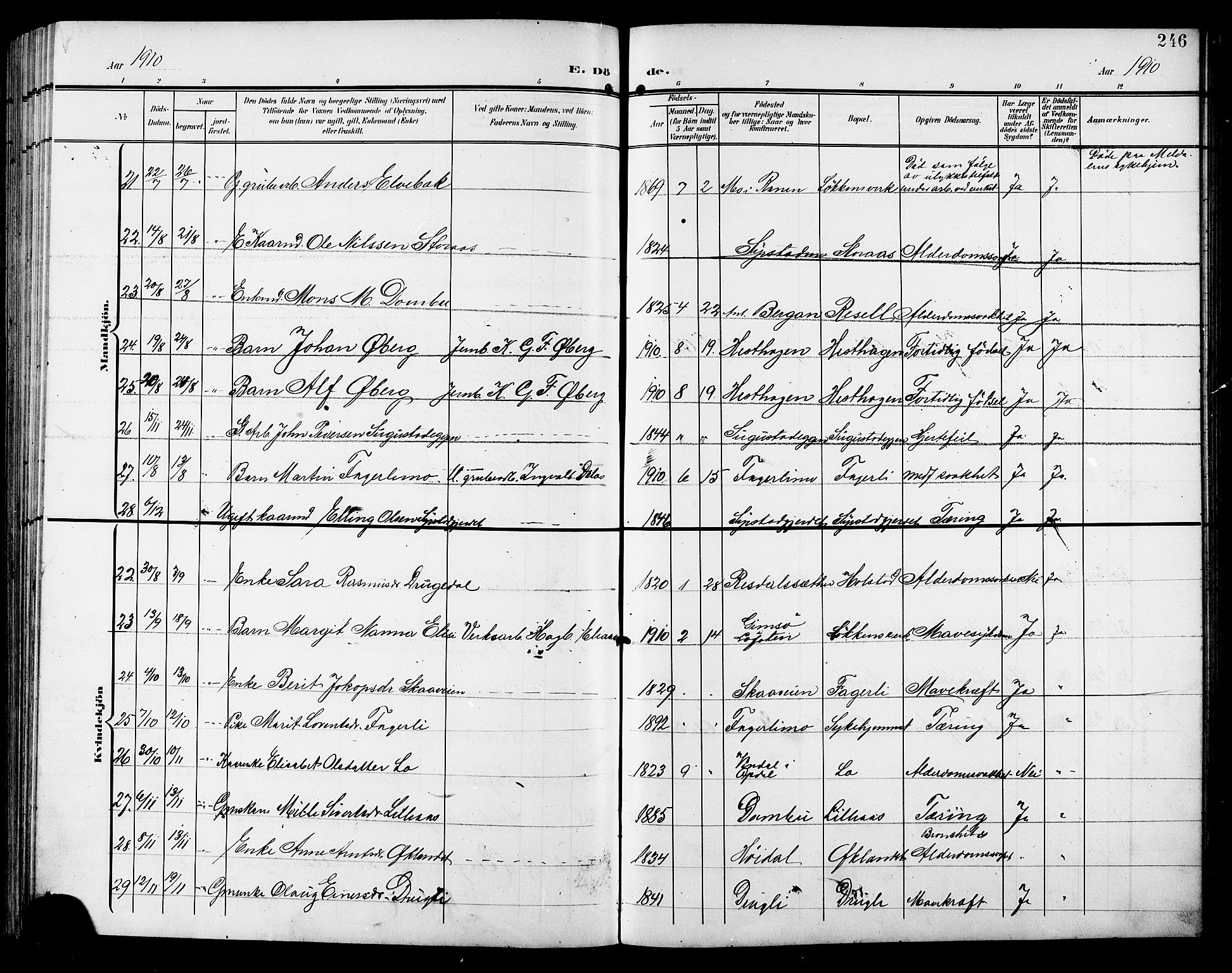 Ministerialprotokoller, klokkerbøker og fødselsregistre - Sør-Trøndelag, SAT/A-1456/672/L0864: Klokkerbok nr. 672C03, 1902-1914, s. 246