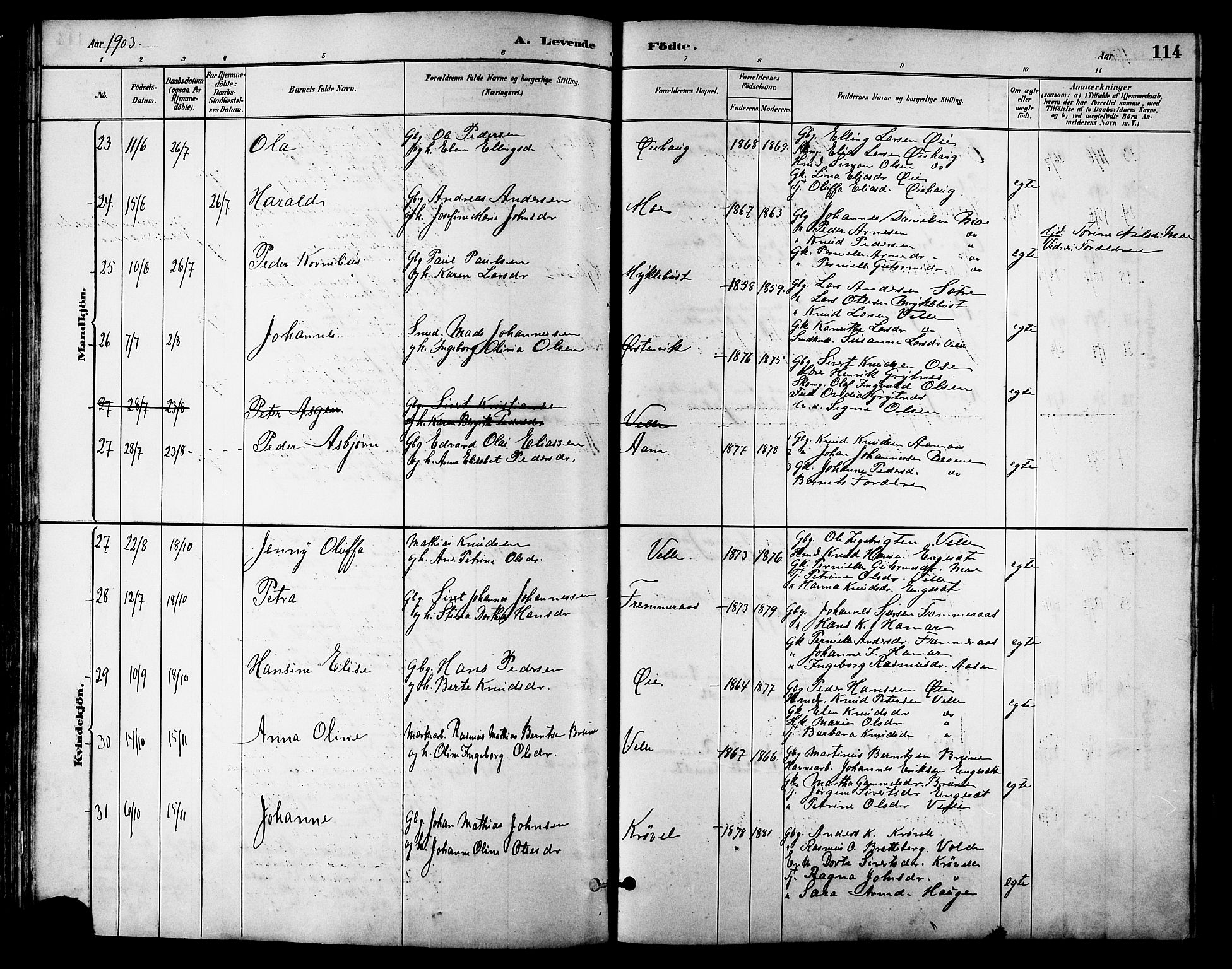 Ministerialprotokoller, klokkerbøker og fødselsregistre - Møre og Romsdal, AV/SAT-A-1454/513/L0189: Klokkerbok nr. 513C03, 1883-1904, s. 114