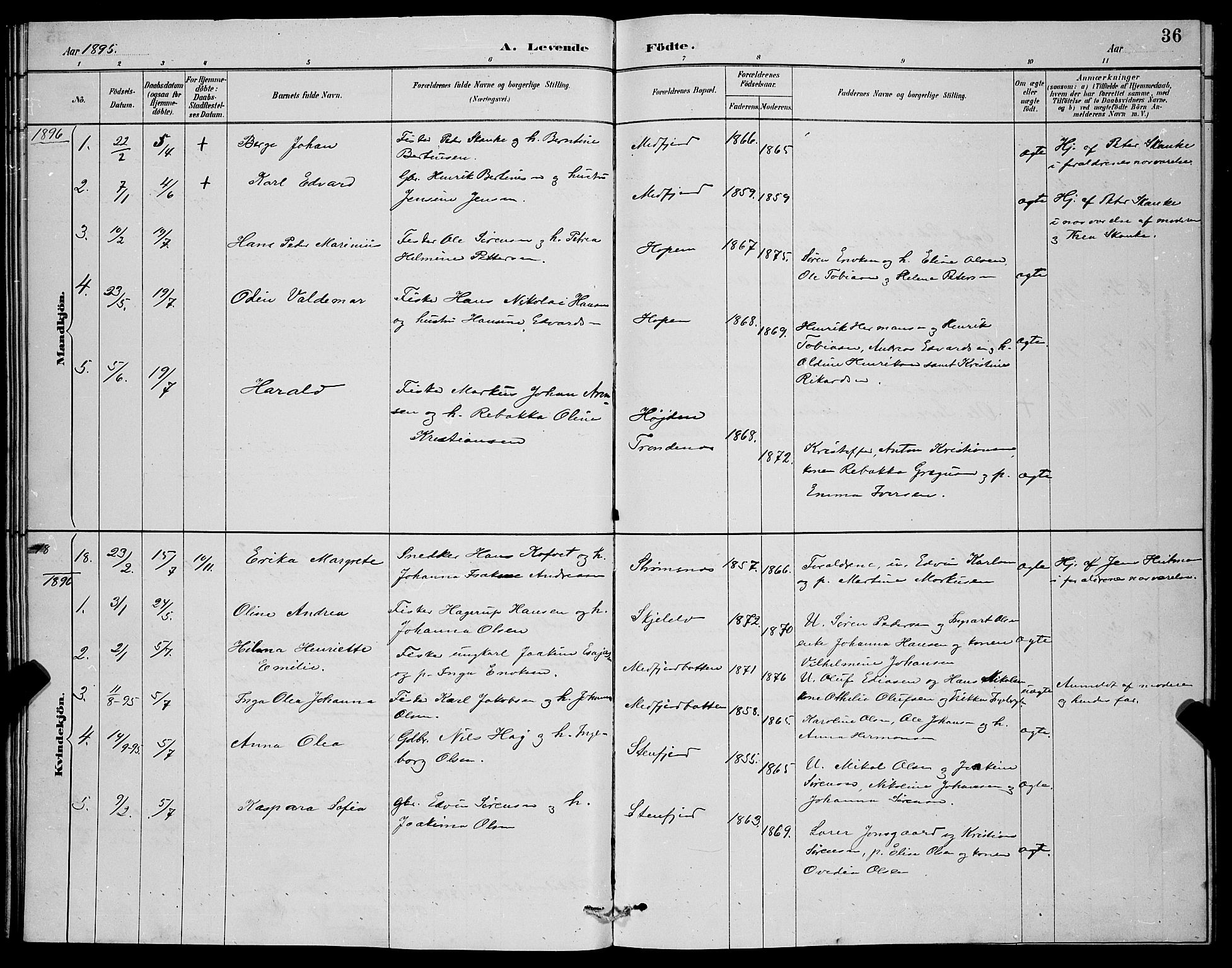 Berg sokneprestkontor, AV/SATØ-S-1318/G/Ga/Gab/L0004klokker: Klokkerbok nr. 4, 1887-1897, s. 36