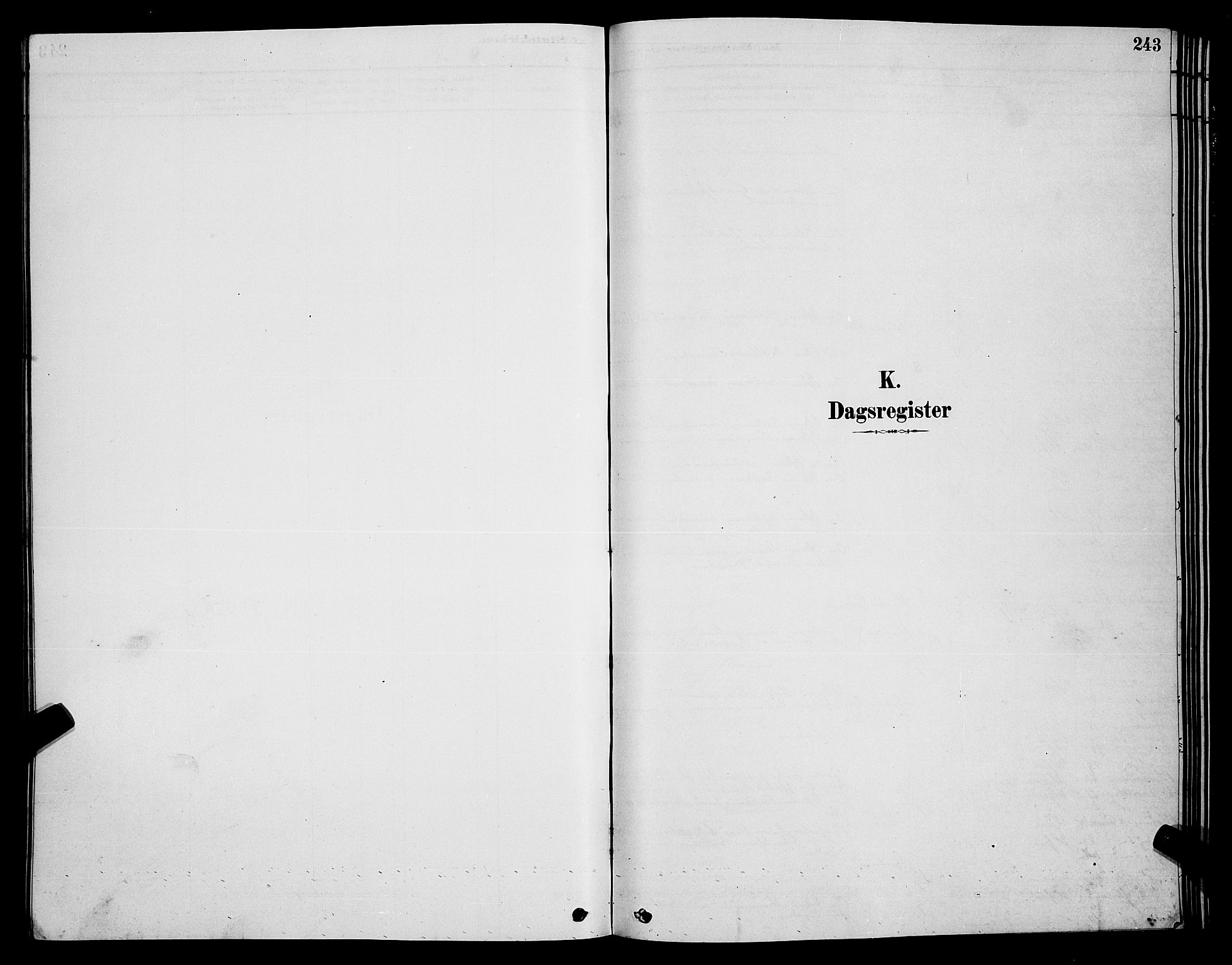 Hammerfest sokneprestkontor, SATØ/S-1347/H/Hb/L0006.klokk: Klokkerbok nr. 6, 1876-1884, s. 243