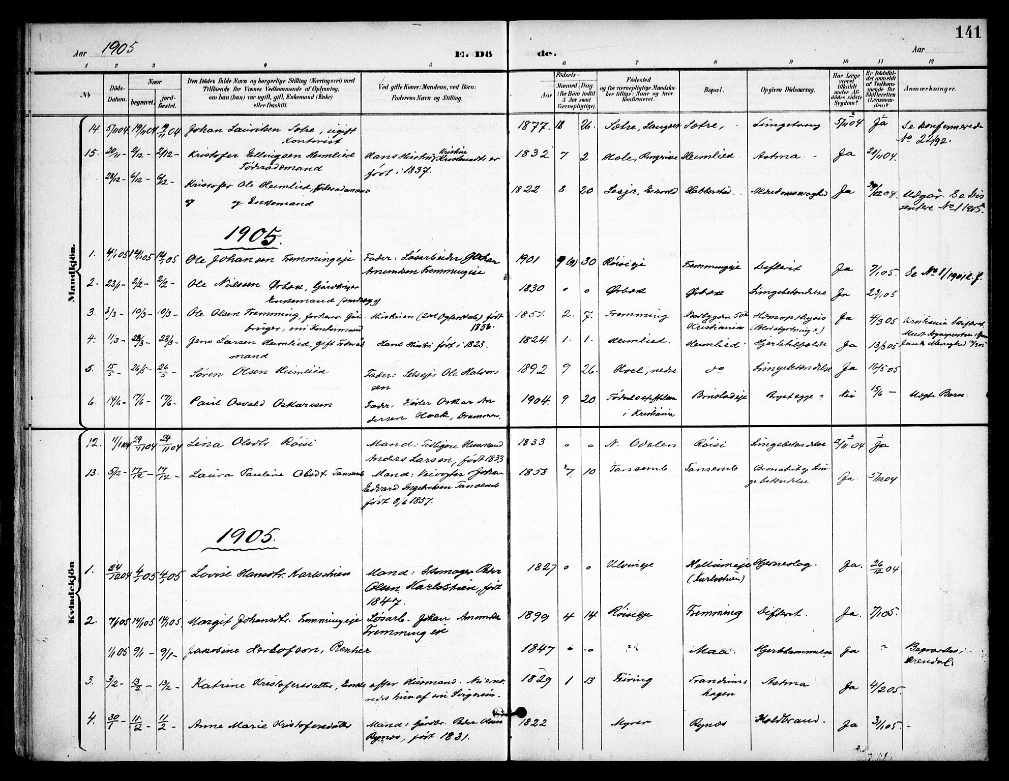 Eidsvoll prestekontor Kirkebøker, AV/SAO-A-10888/F/Fb/L0003: Ministerialbok nr. II 3, 1898-1909, s. 141