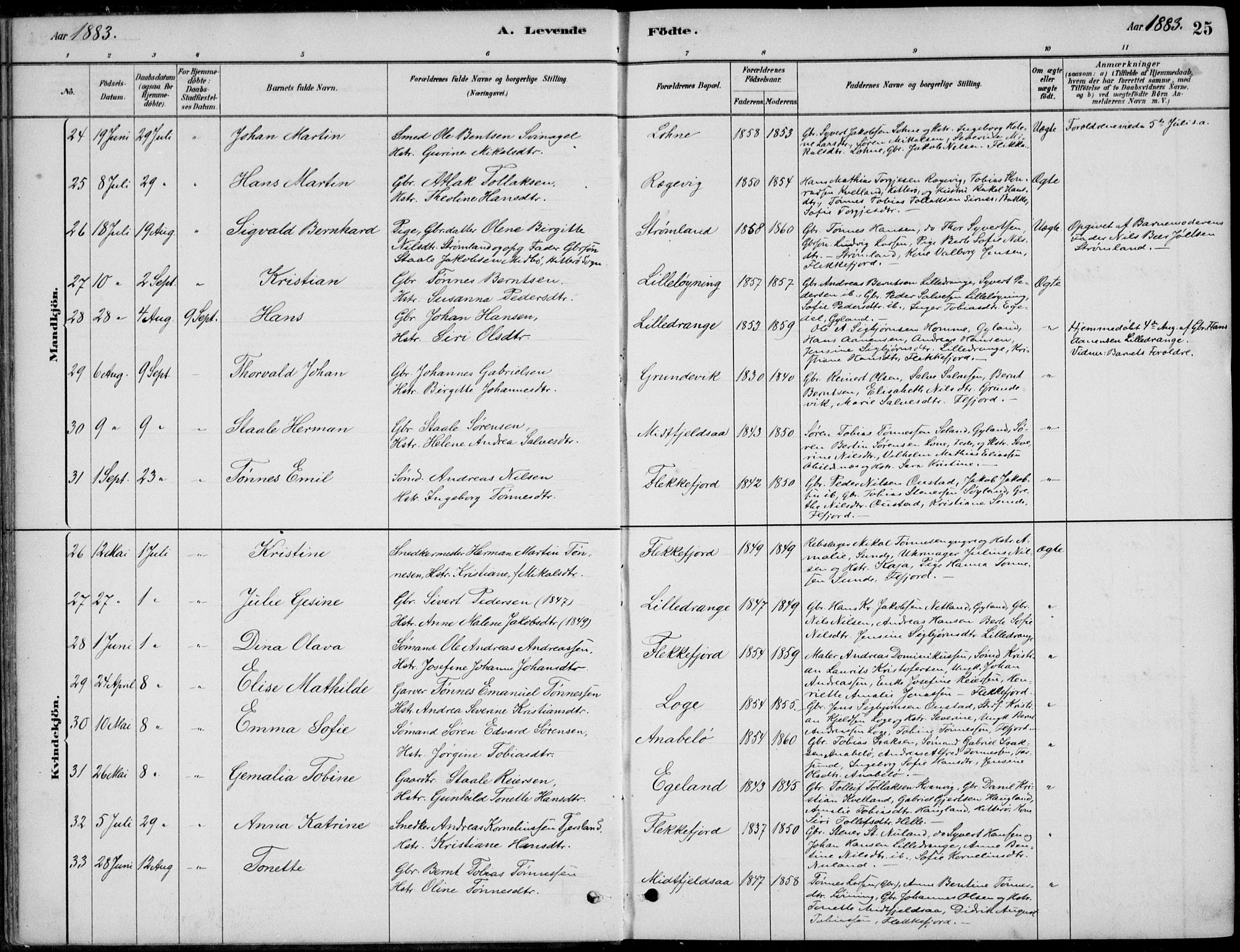 Flekkefjord sokneprestkontor, AV/SAK-1111-0012/F/Fb/Fbc/L0007: Klokkerbok nr. B 7, 1880-1902, s. 25