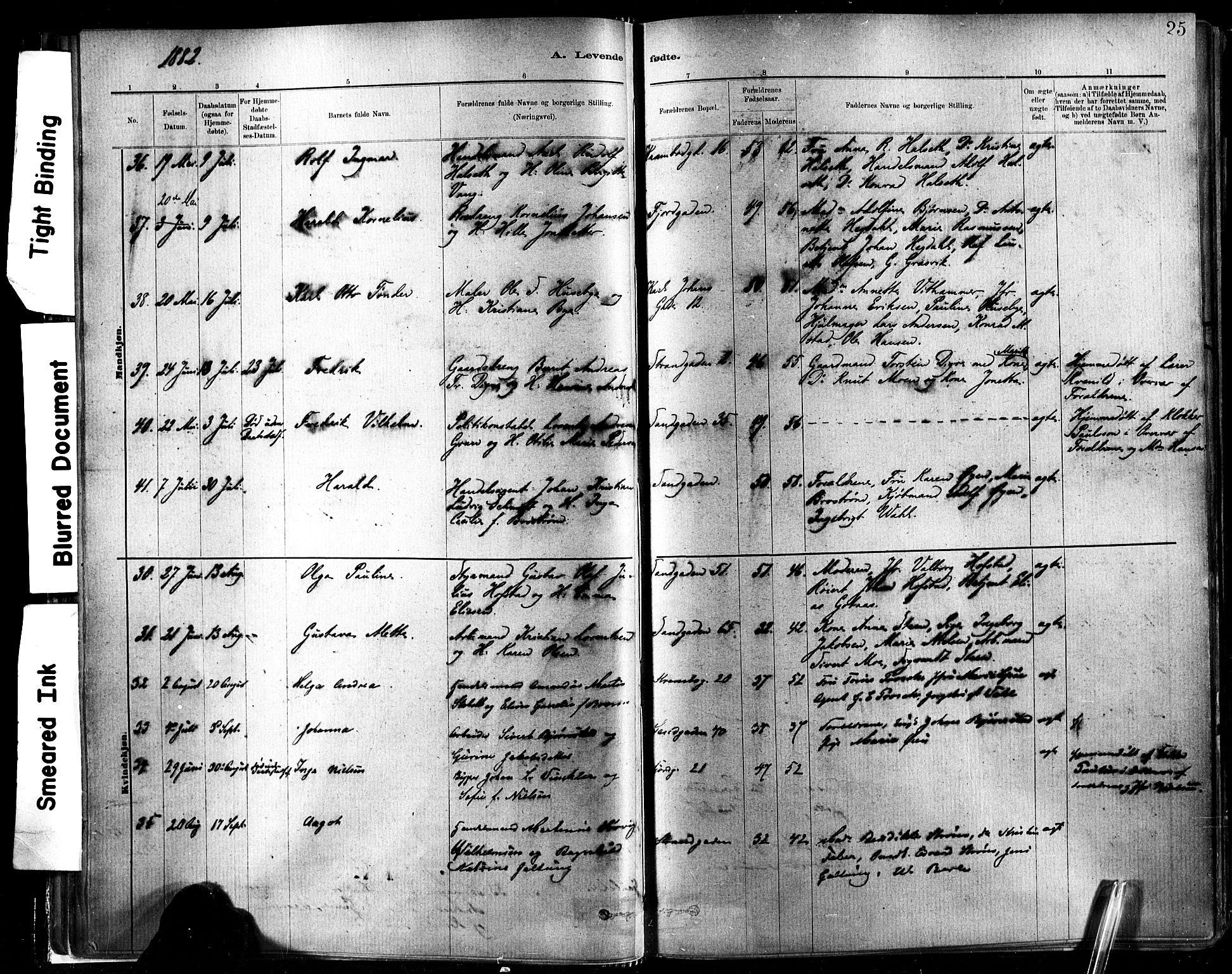 Ministerialprotokoller, klokkerbøker og fødselsregistre - Sør-Trøndelag, SAT/A-1456/602/L0119: Ministerialbok nr. 602A17, 1880-1901, s. 25