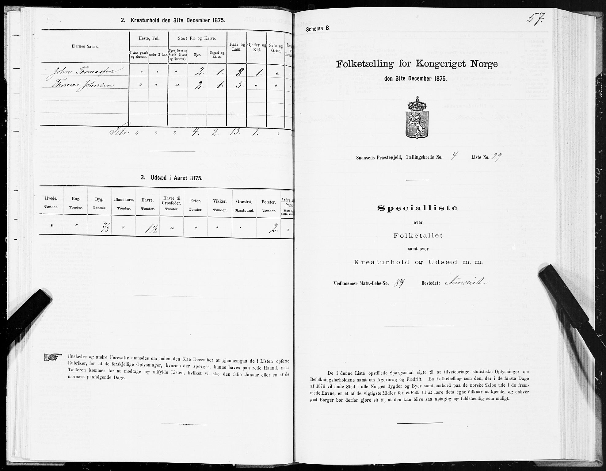 SAT, Folketelling 1875 for 1736P Snåsa prestegjeld, 1875, s. 2057